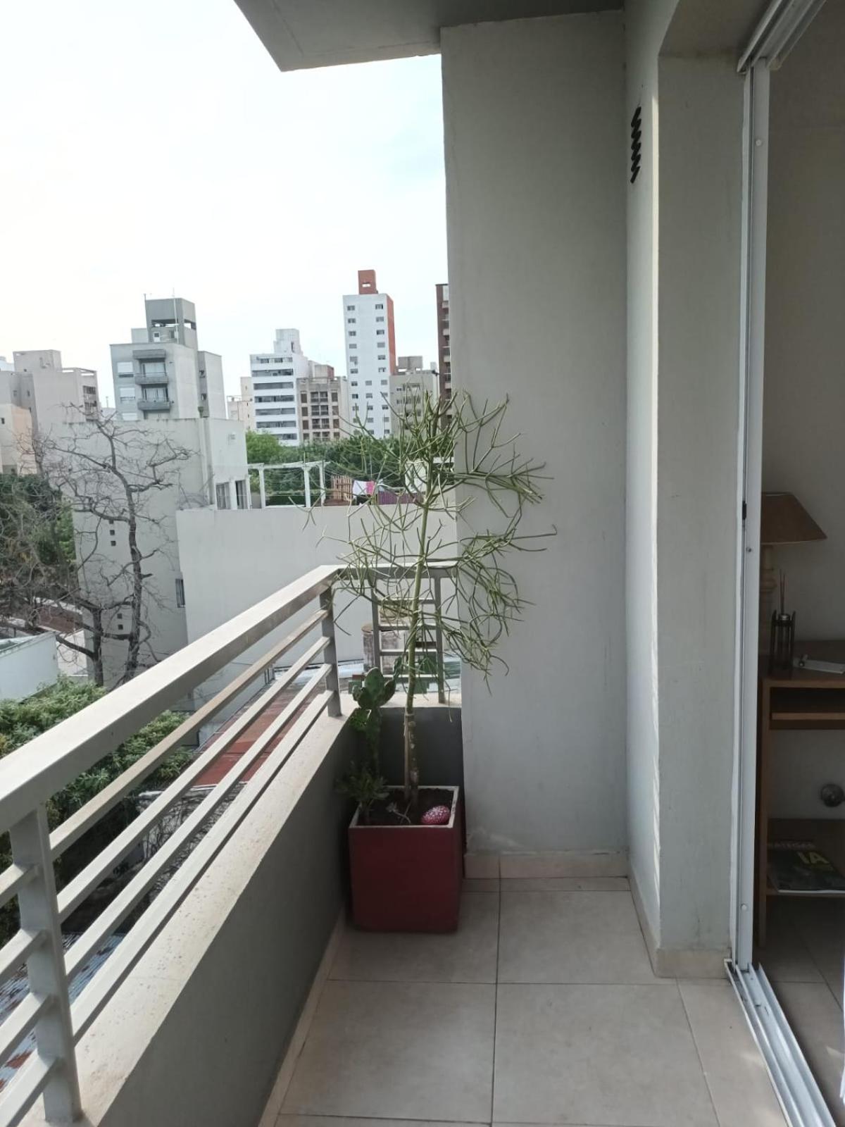 One-Bedroom Apartment photo 3