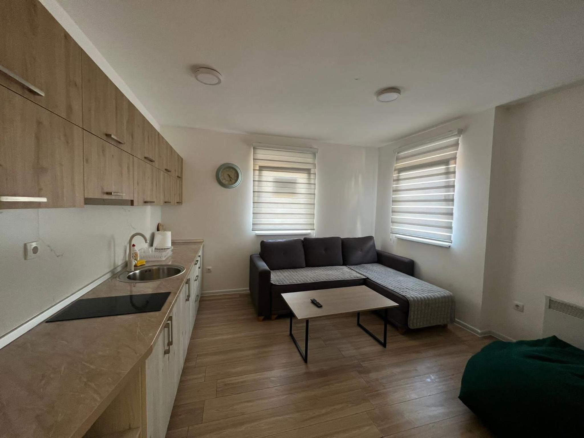 One-Bedroom Apartment photo 3