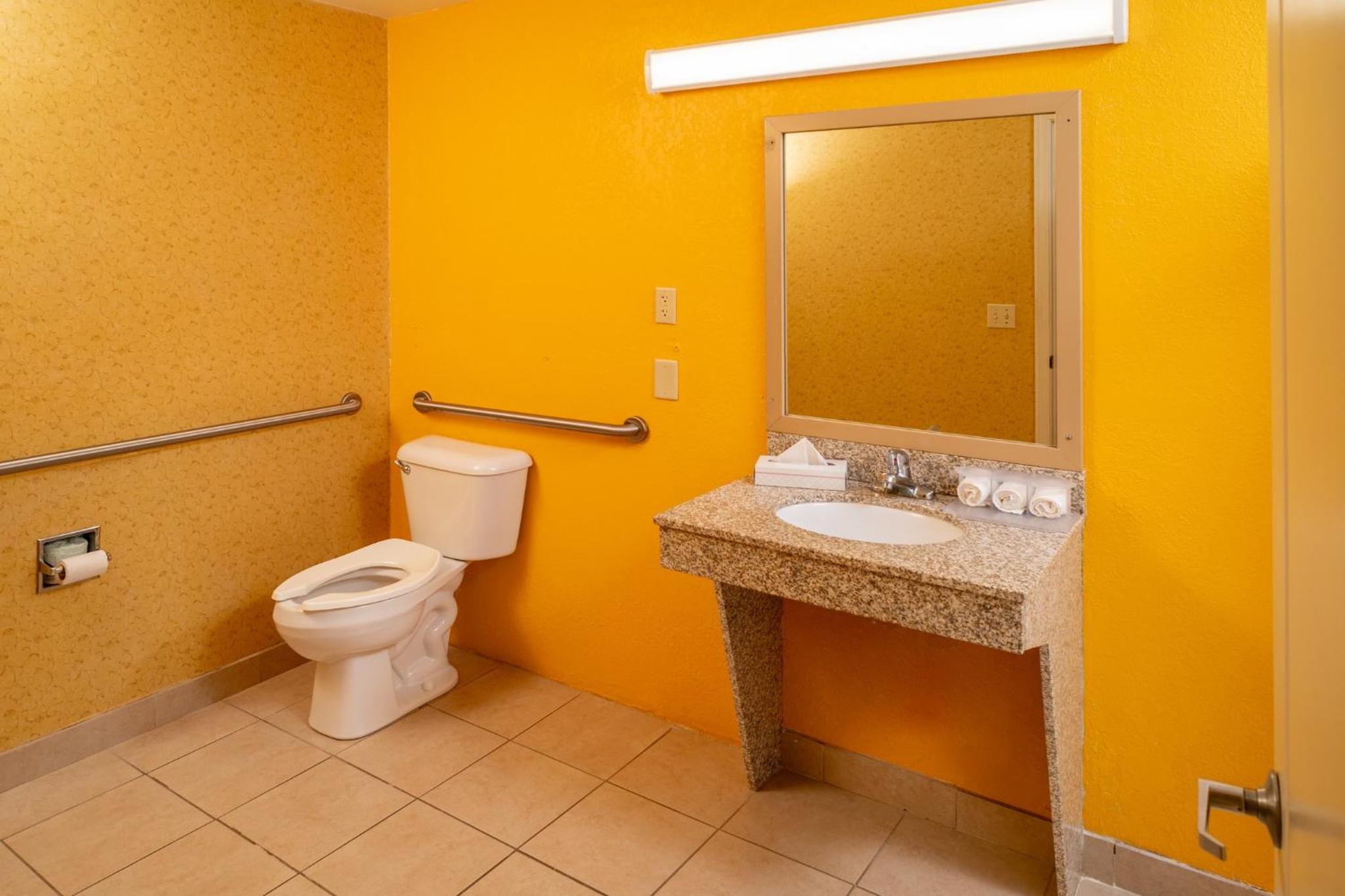 Standard King Room with Roll-in Shower - Mobility Accessible photo 2