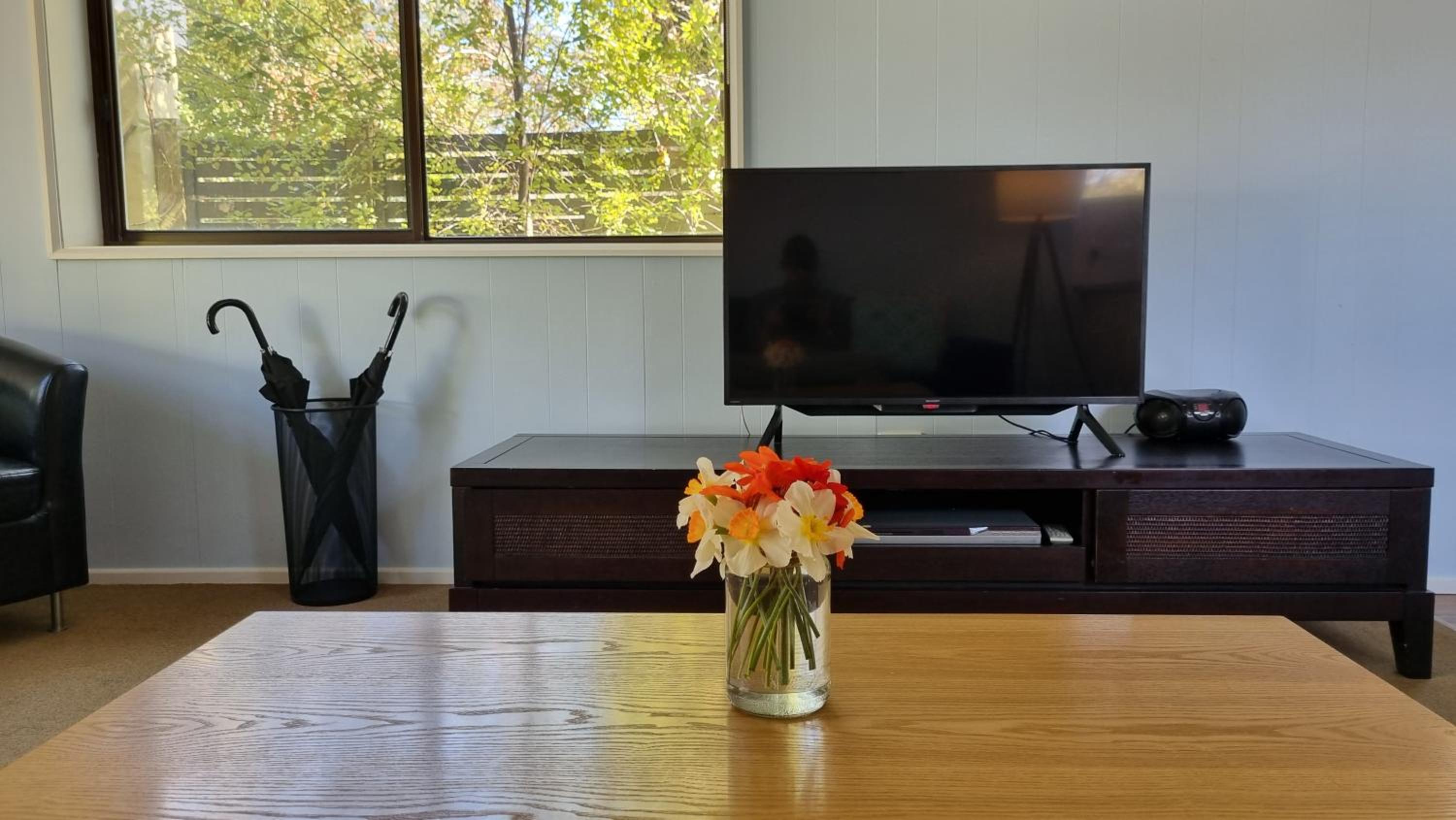 One-Bedroom Apartment photo 3