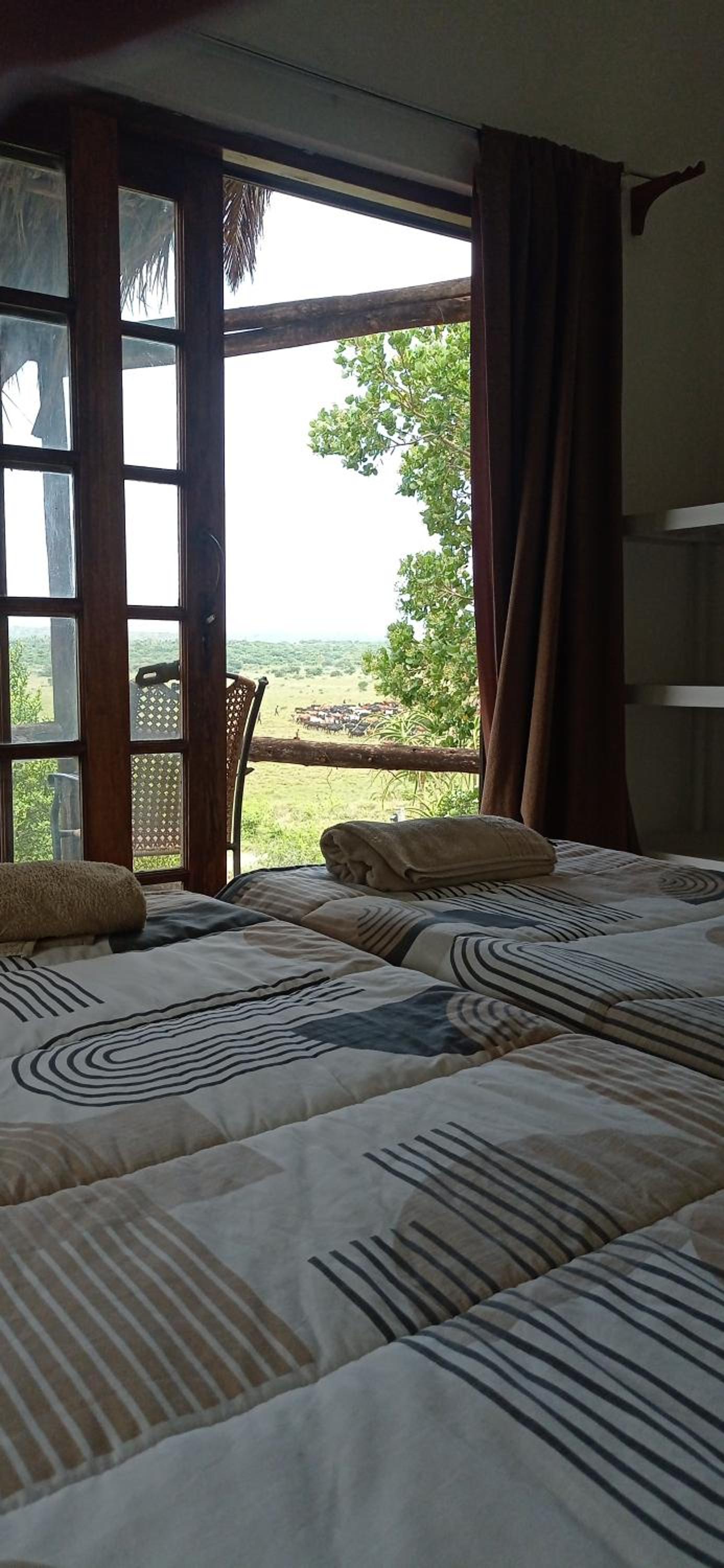 Twin Room With View photo 3