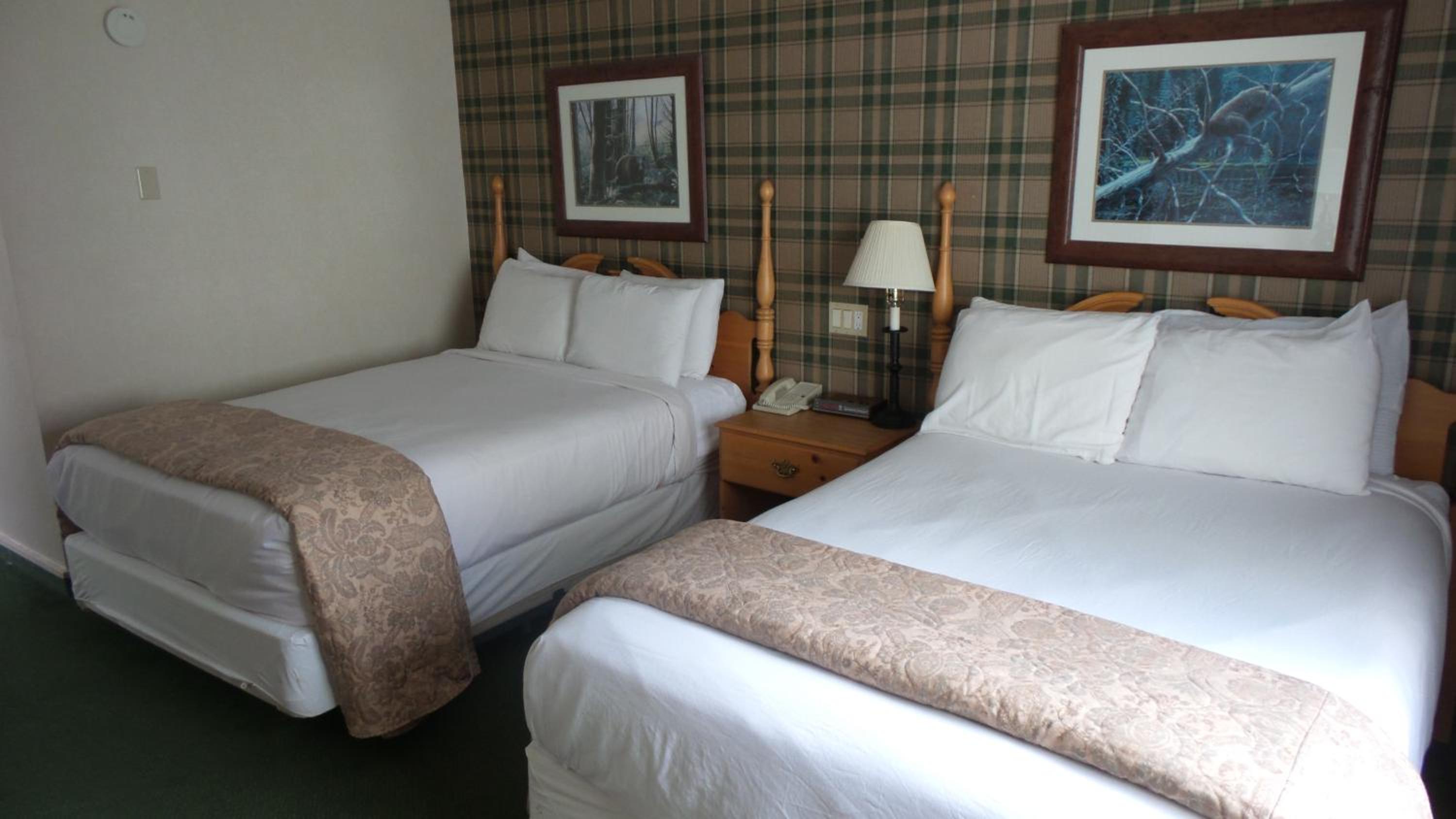 Double Room with Two Double Beds - Photo 3