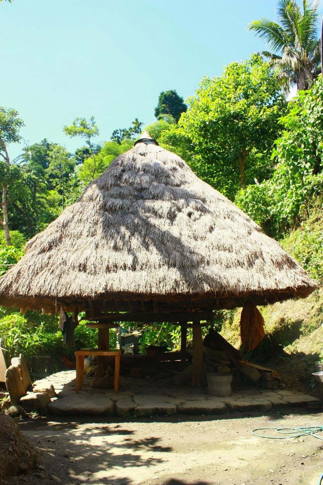 Nipa Hut photo 1
