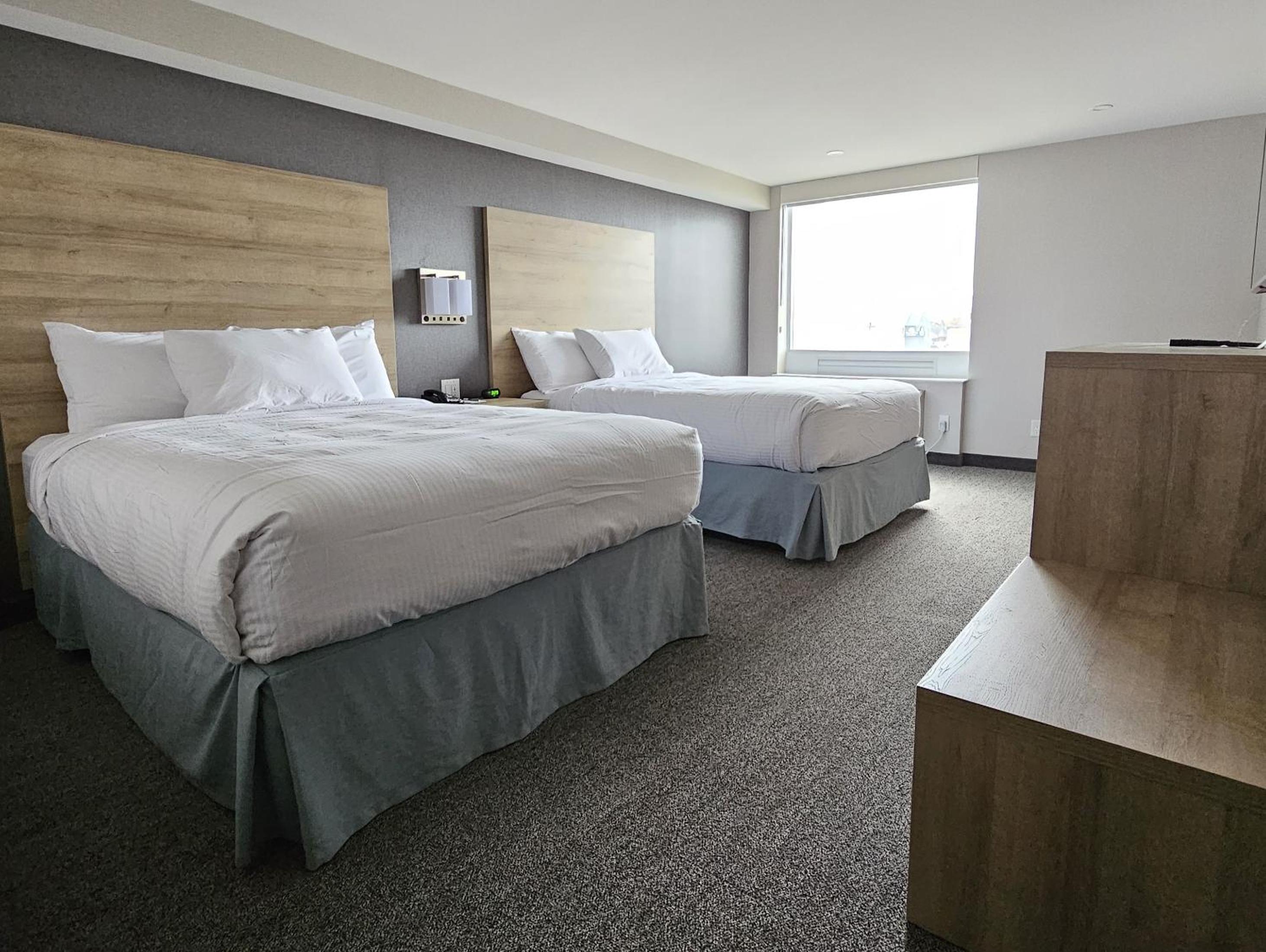 Standard Suite