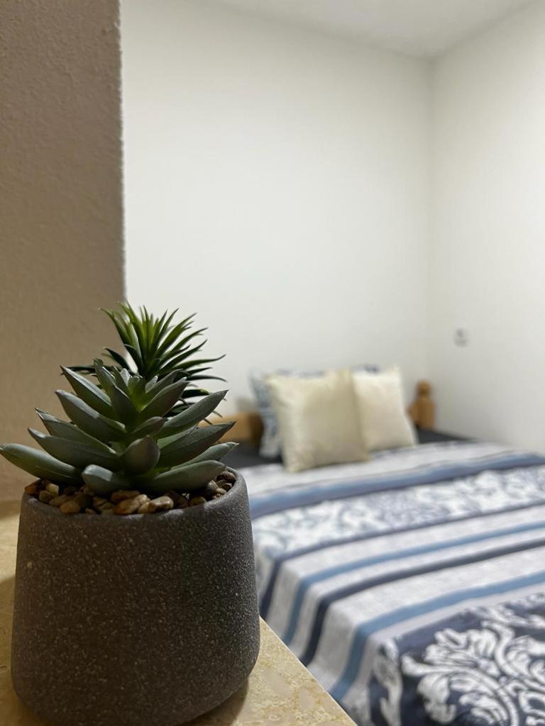 Three-Bedroom Apartment photo 2