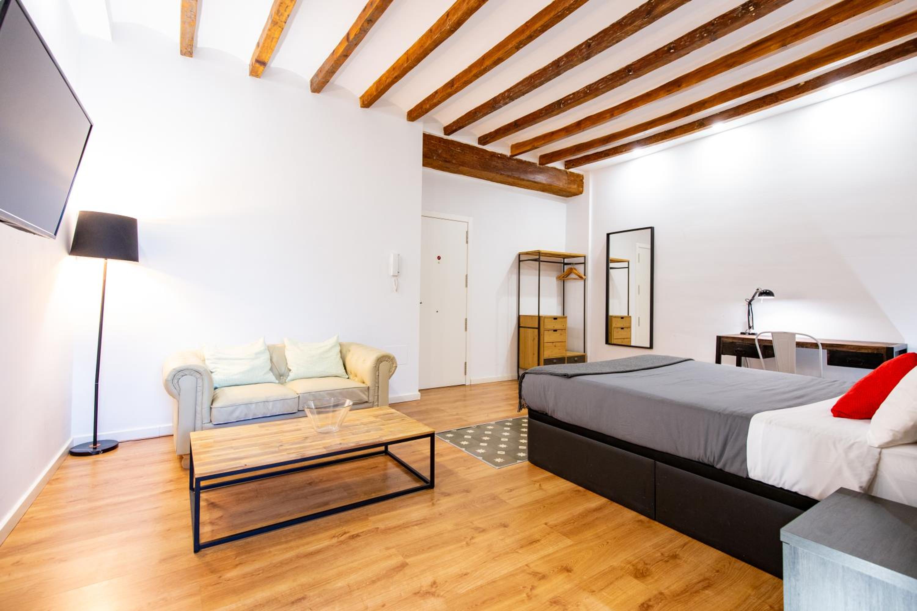 Studio Apartment photo 3
