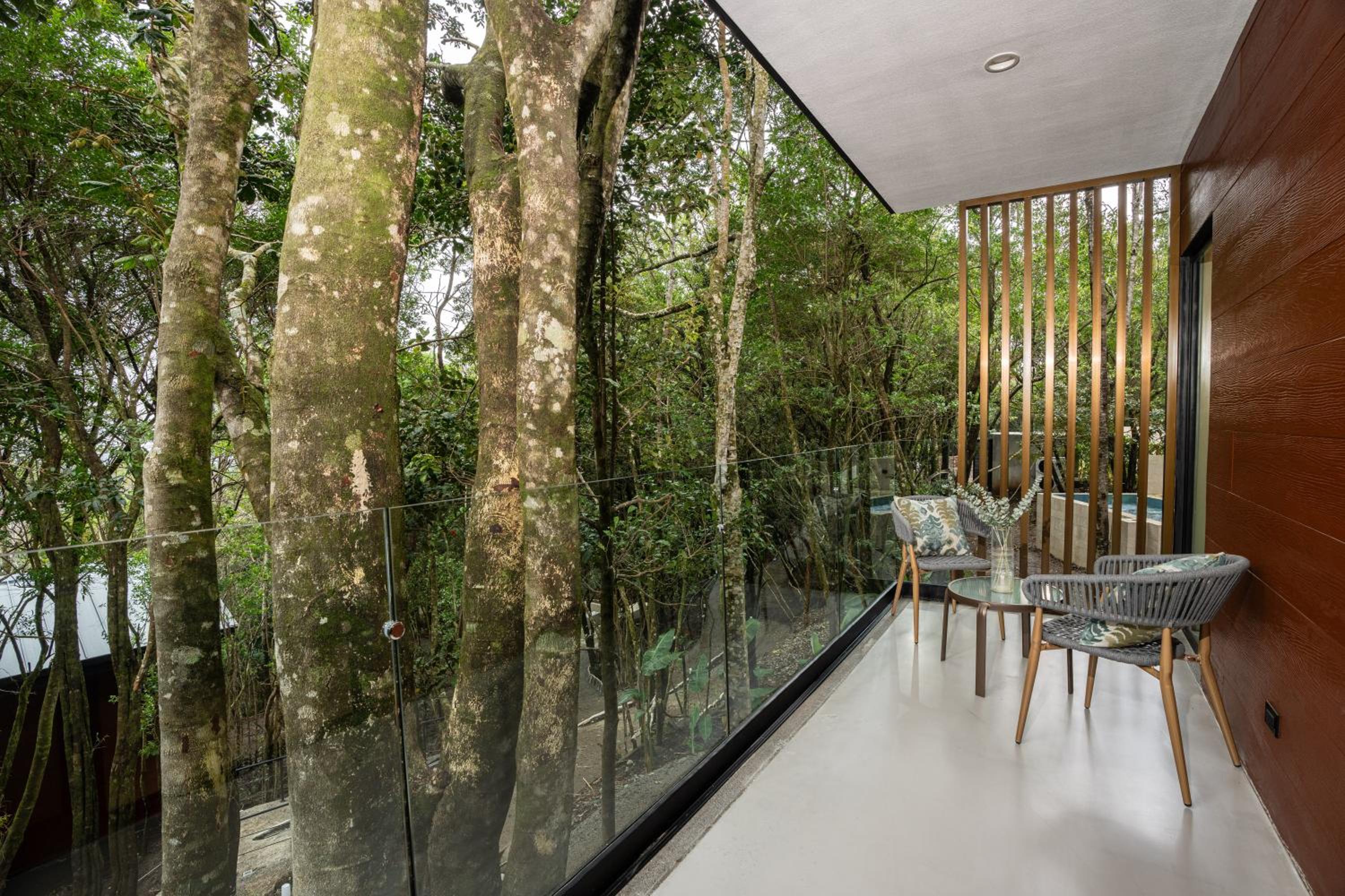 Grand Forest Suite photo 3