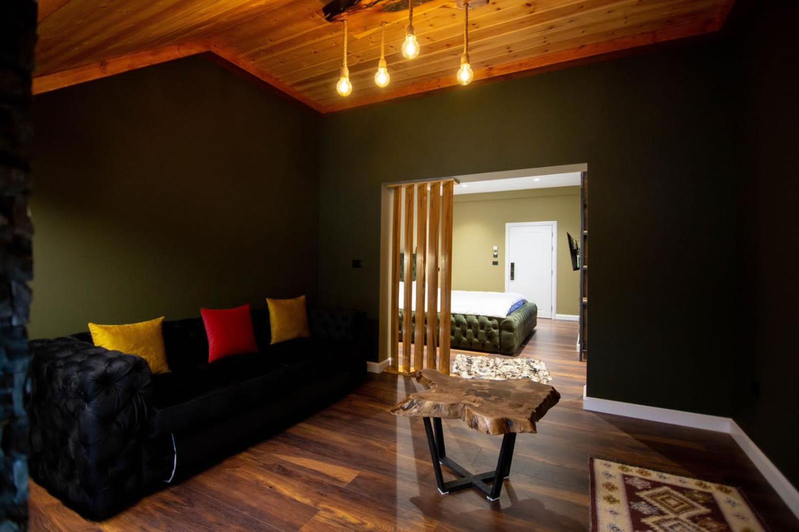Family Room With Mountain View