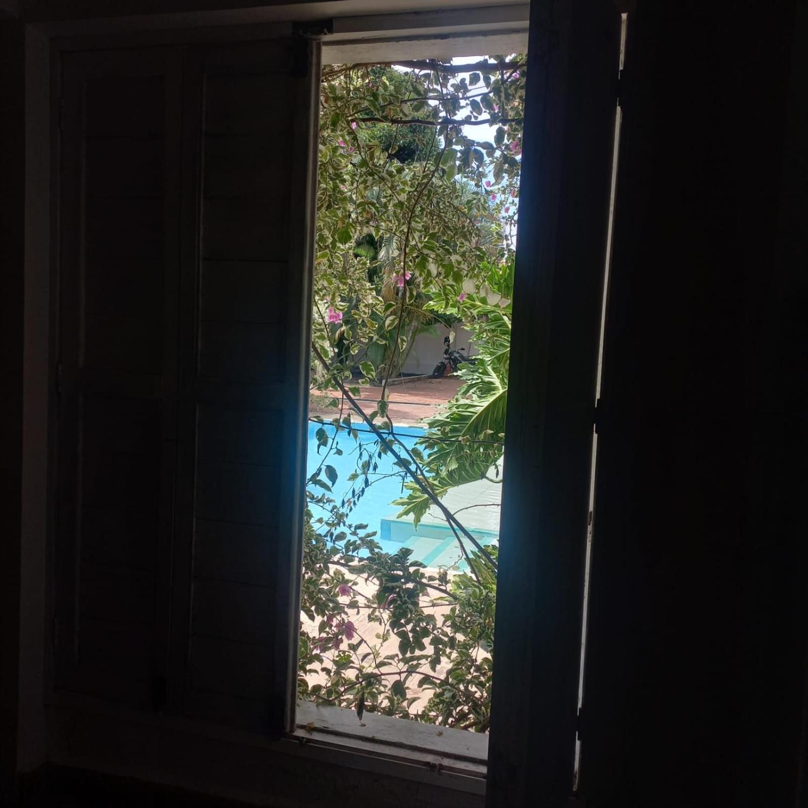 Double Room with Pool View photo 2