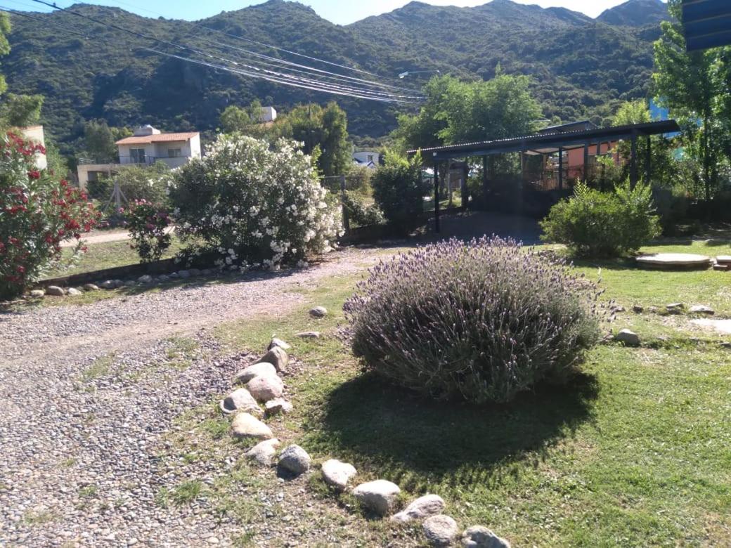 Family Bungalow photo 2