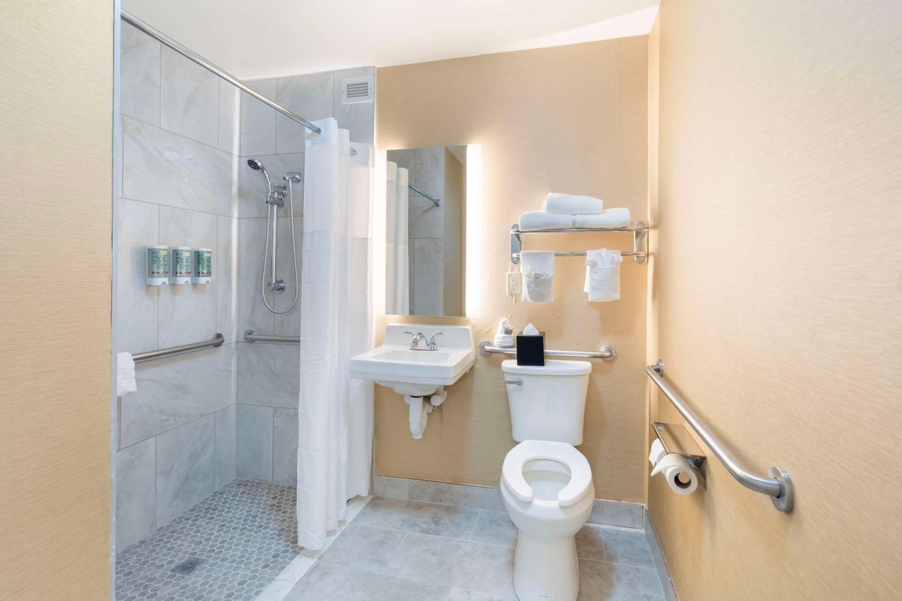 Queen Room with Roll-In Shower - Disability Access/Non-Smoking - Photo 3