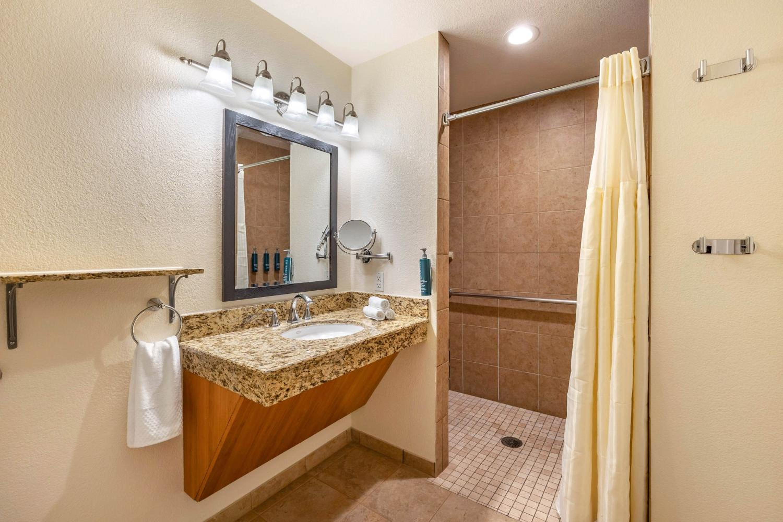 2 BEDROOM 1 KING 1 QUEEN SUITE ROLL-IN SHOWER - Photo 5