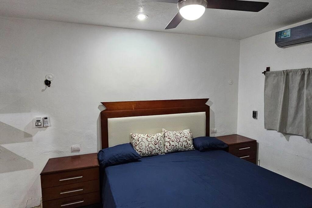 One-Bedroom Apartment photo 3