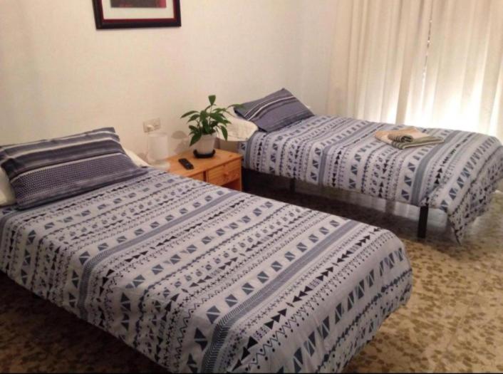 Twin Room photo 2