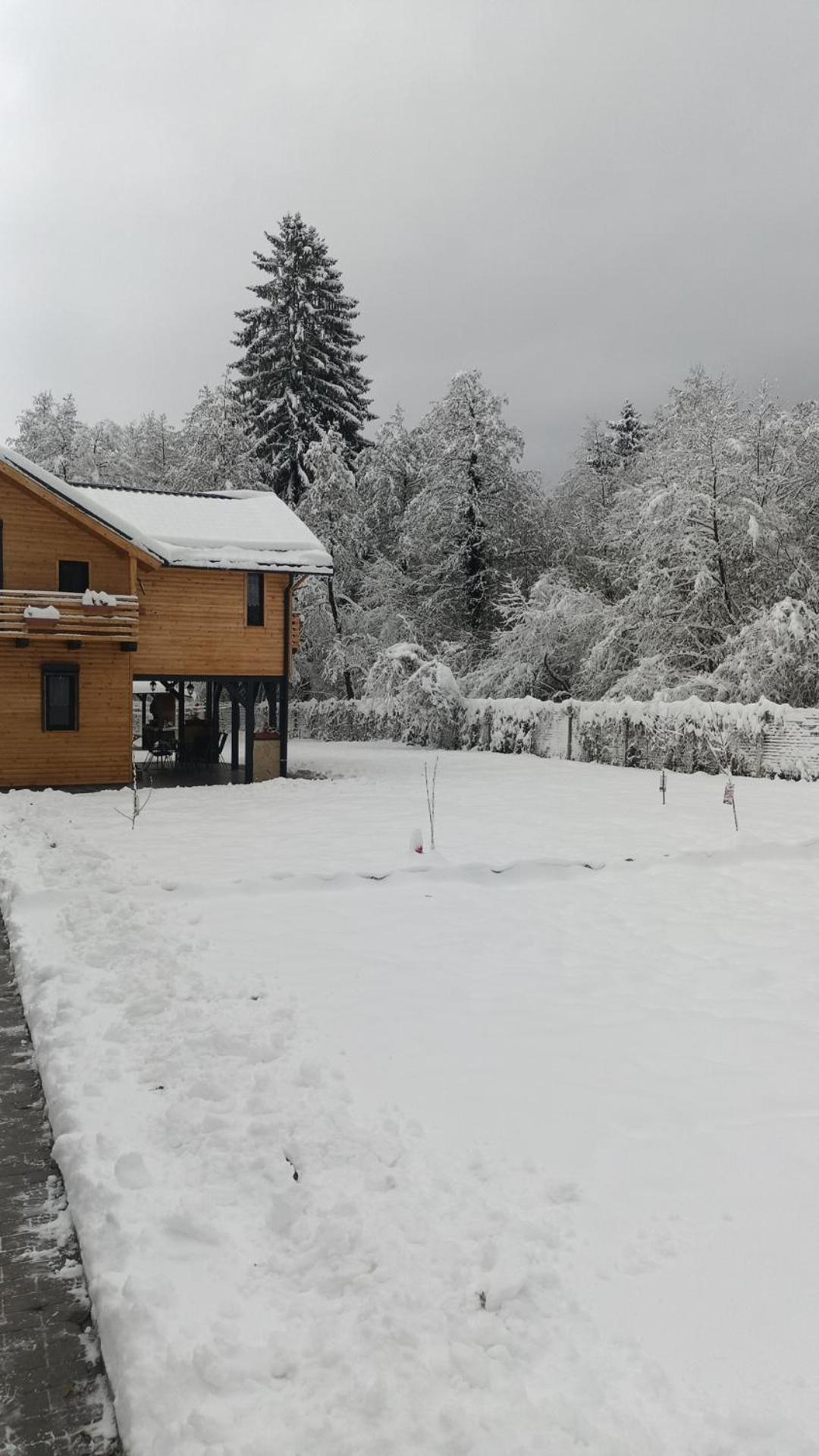 Superior Chalet photo 2