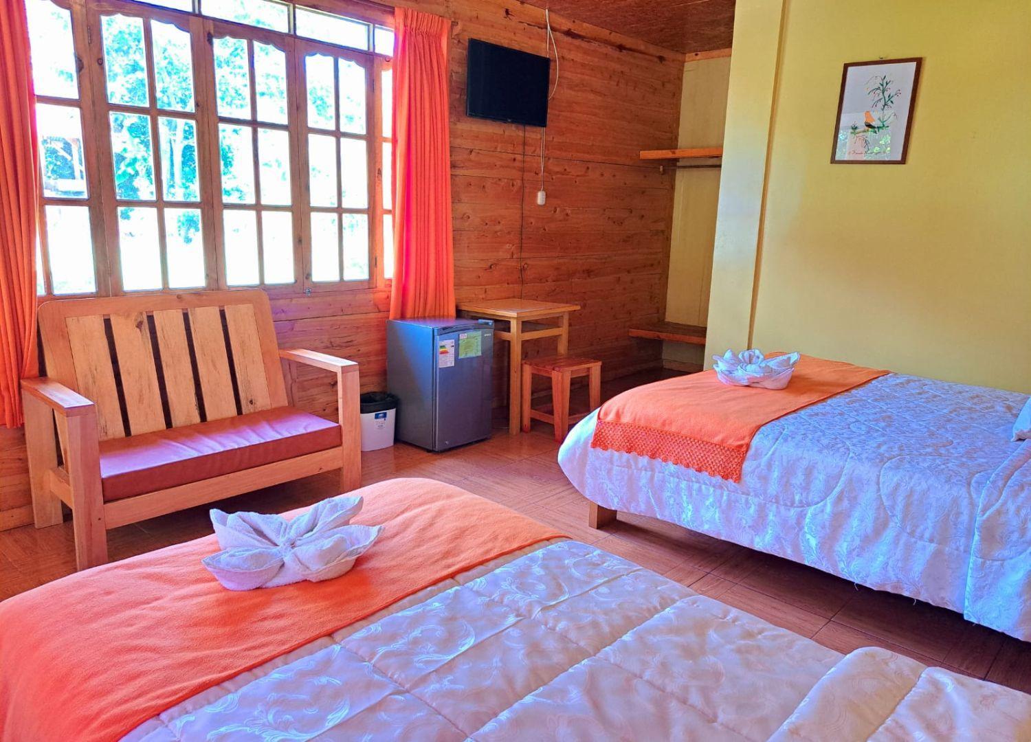Triple Room photo 3