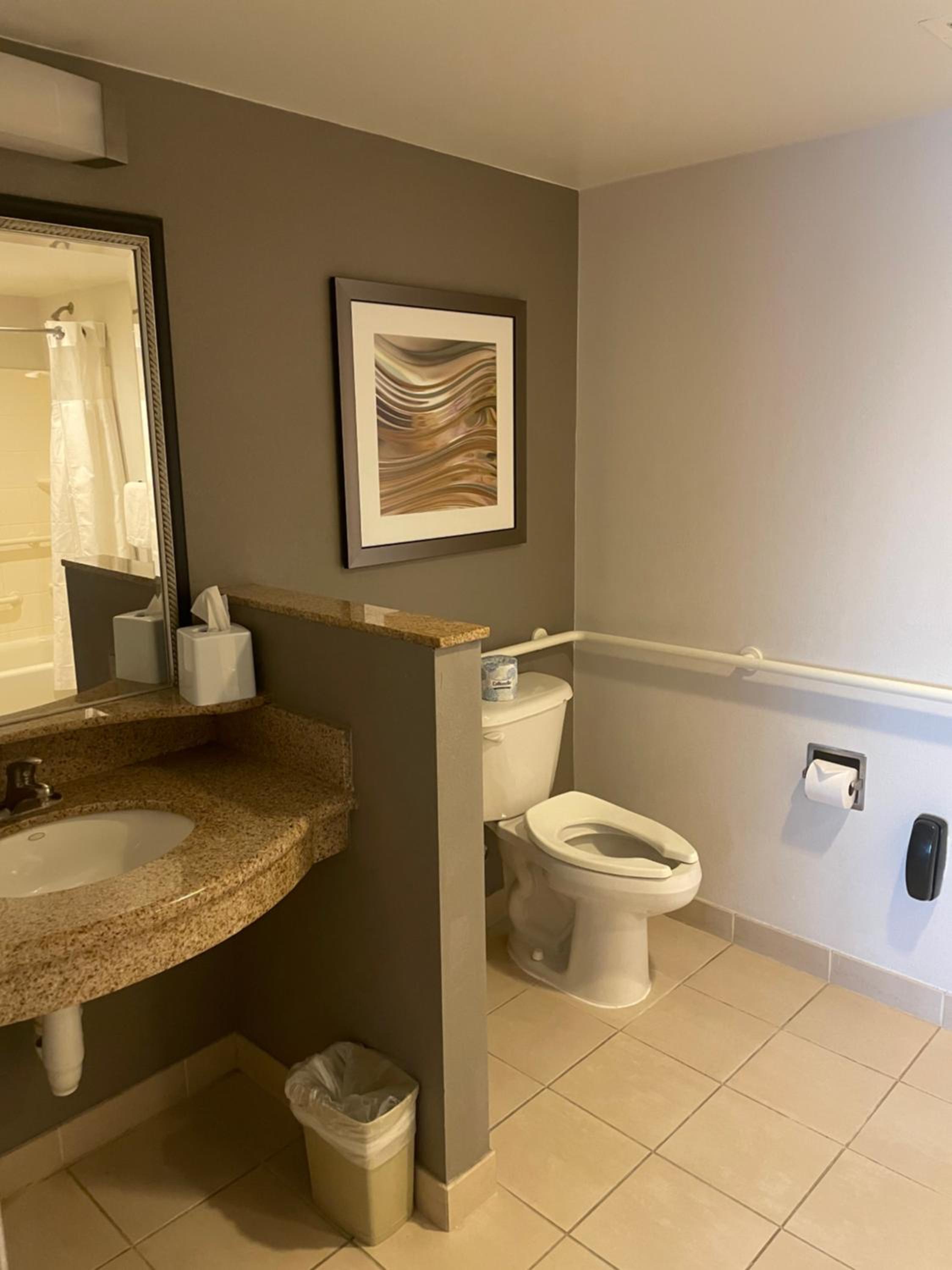 King Suite with Sofa Bed - Photo 3