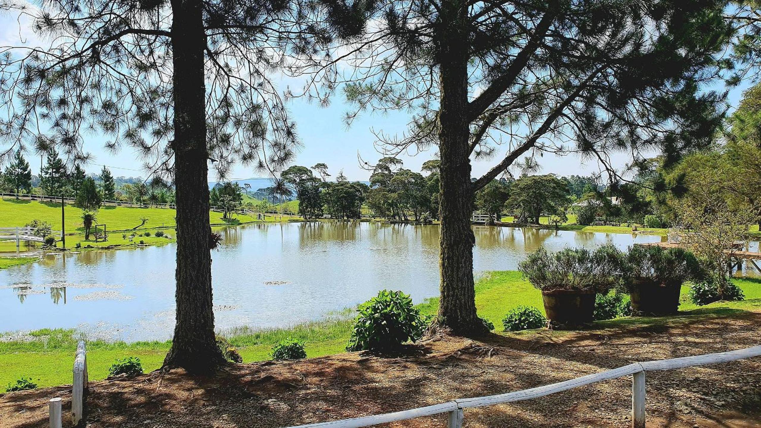 Vacation Home photo 2