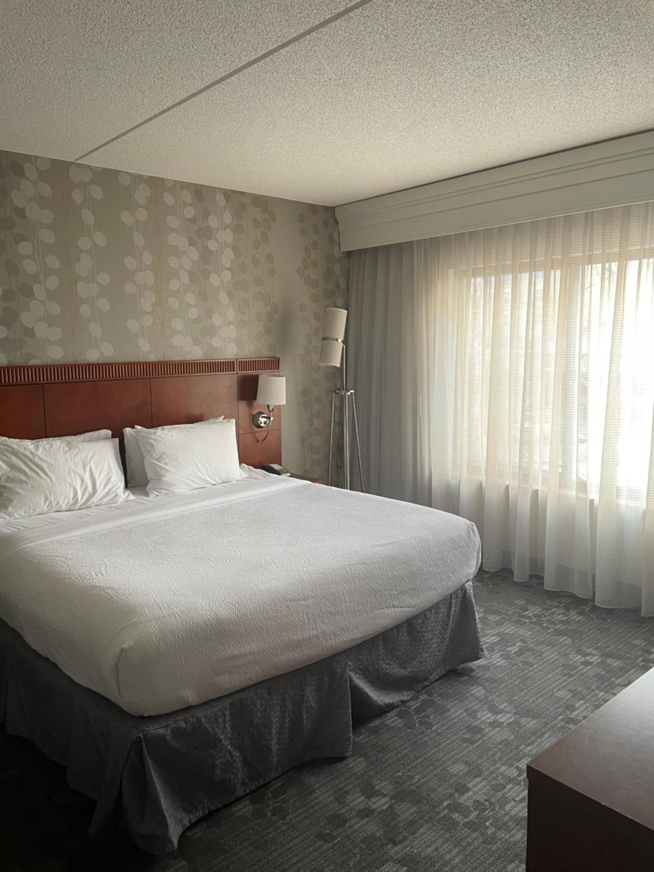 King Suite with Sofa Bed - Photo 1