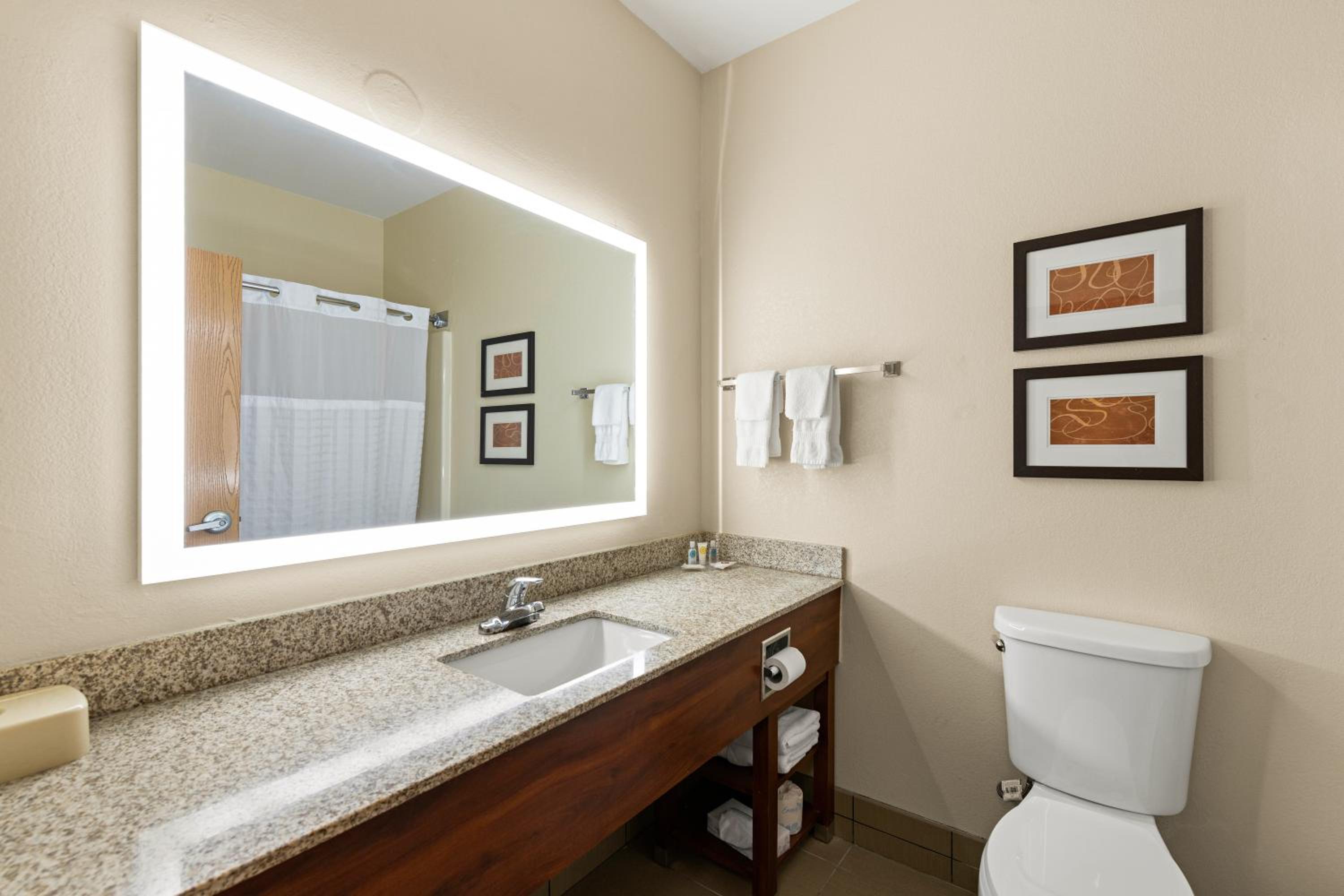 King Suite - Non Smoking - Photo 4