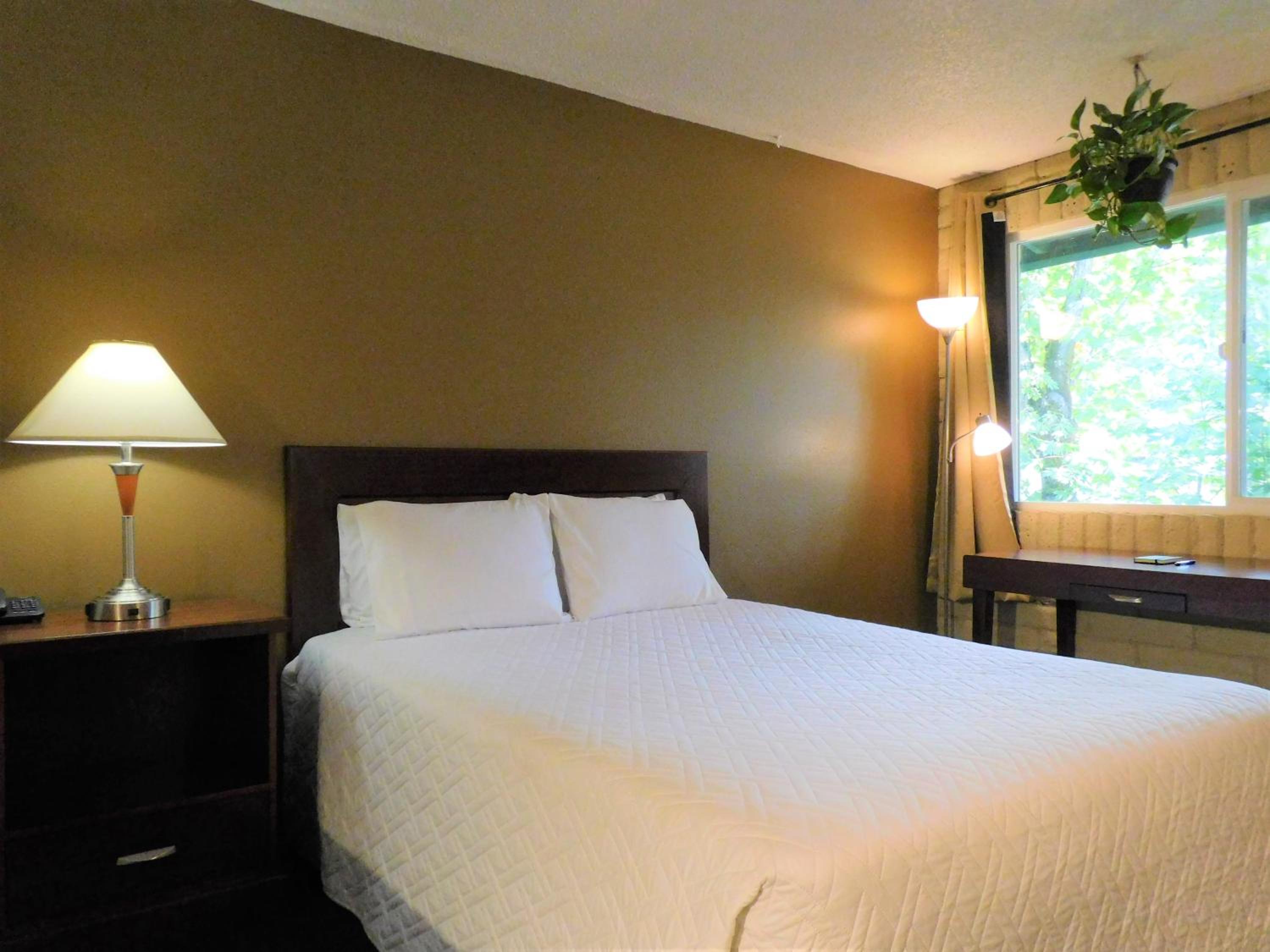 Queen Room - Non-Smoking - Photo 4