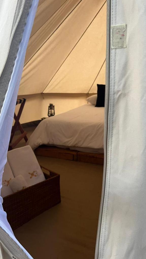 One Bed Tent - Photo 6