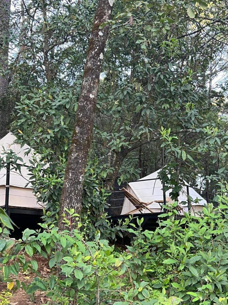 One Bed Tent - Photo 1