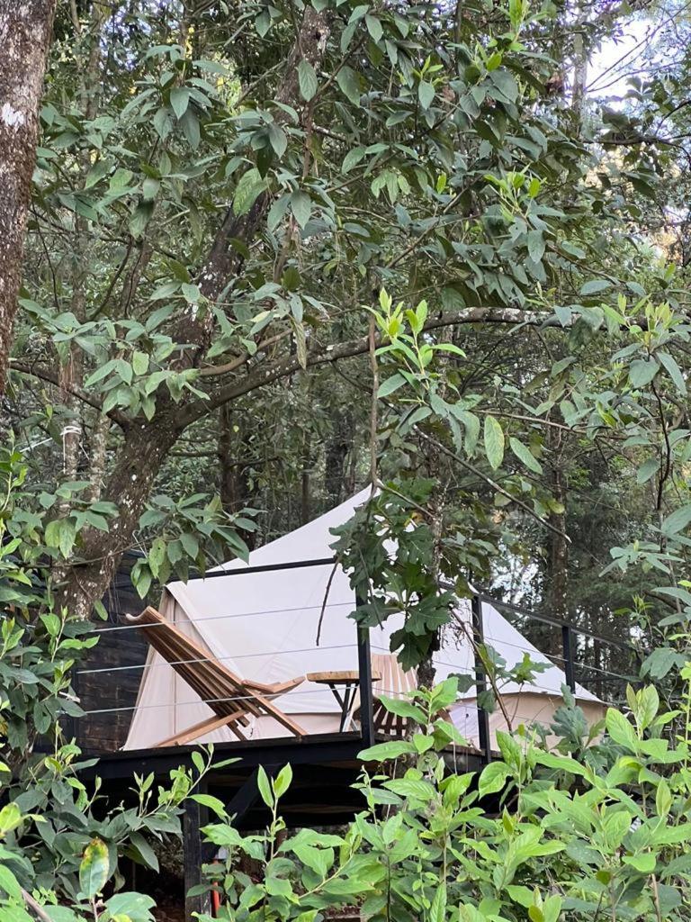 One Bed Tent - Photo 8