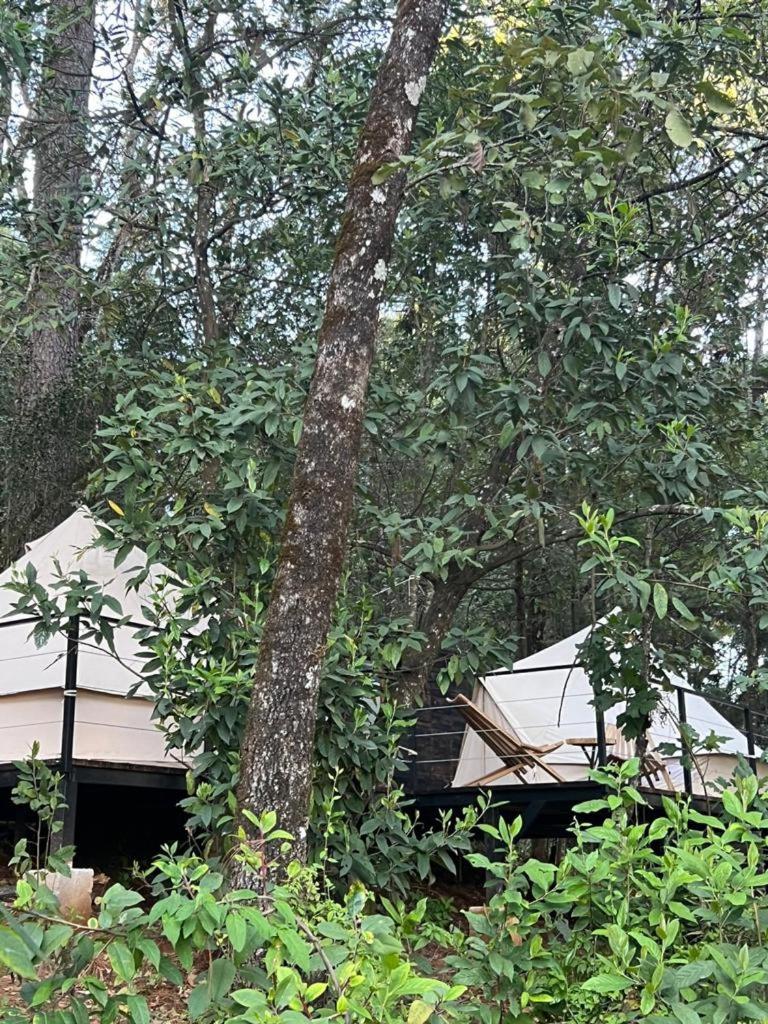 One Bed Tent - Photo 10