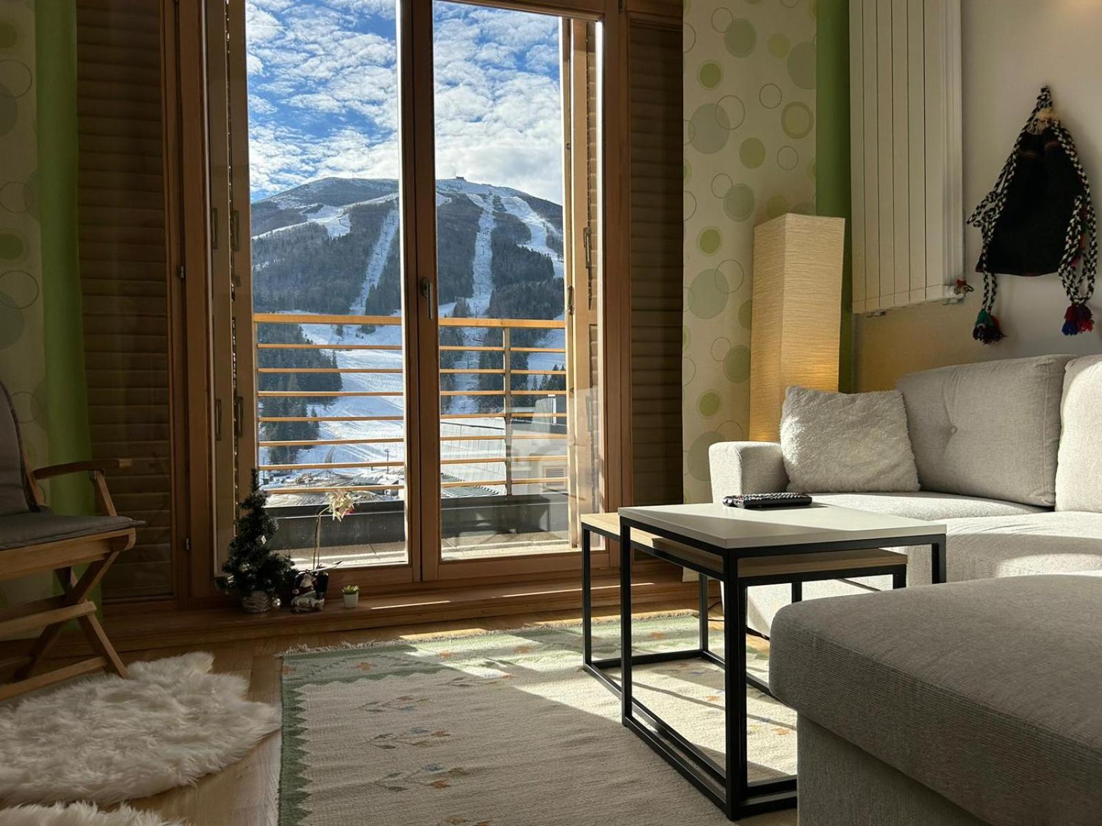 Apartment with Mountain View photo 2