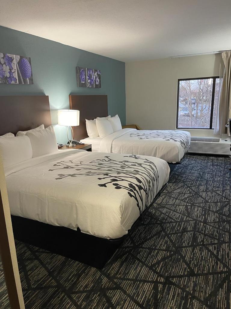 Standard Double Room with Two Double Beds - Non Smoking
