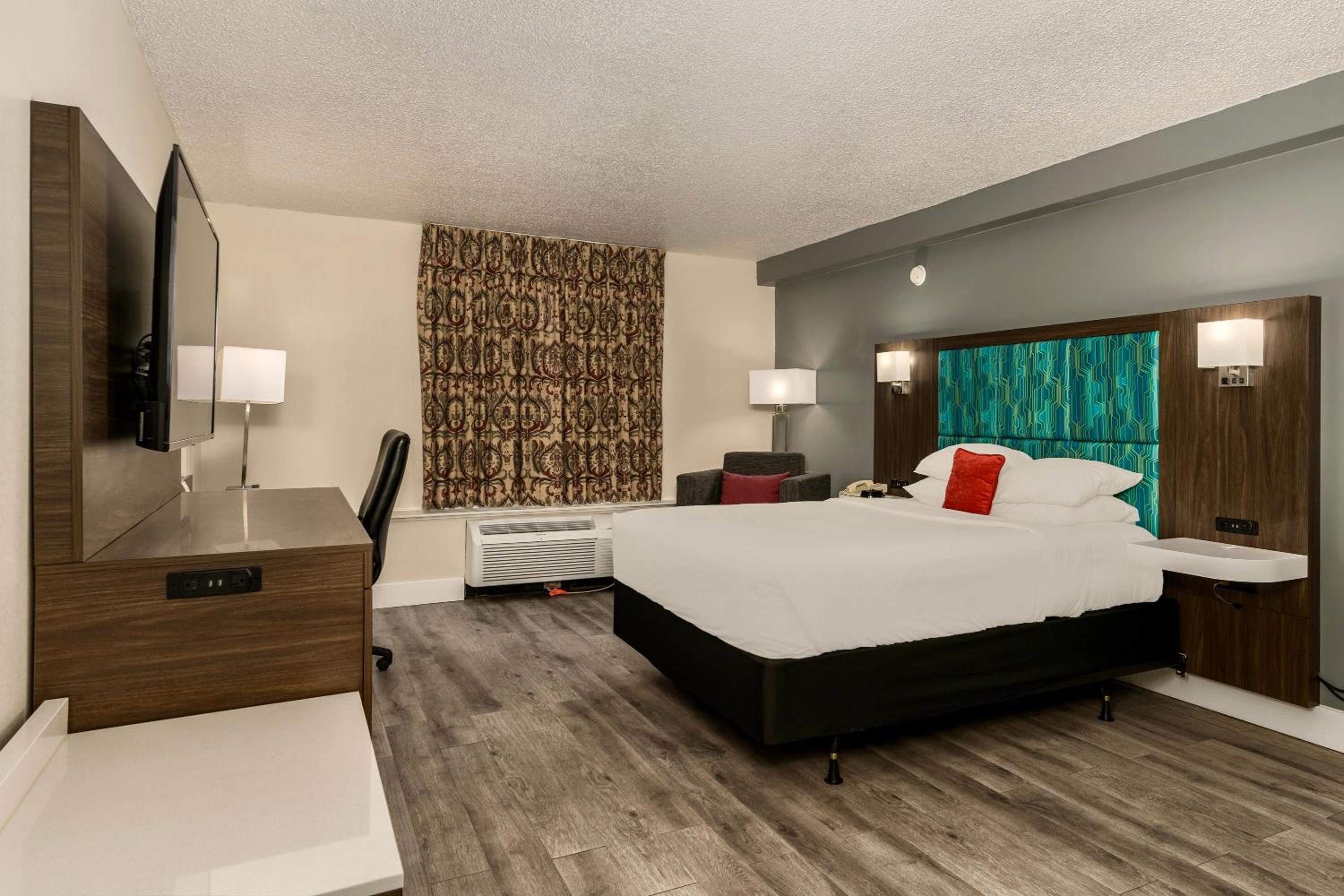 Queen Room - Disability Access photo 2