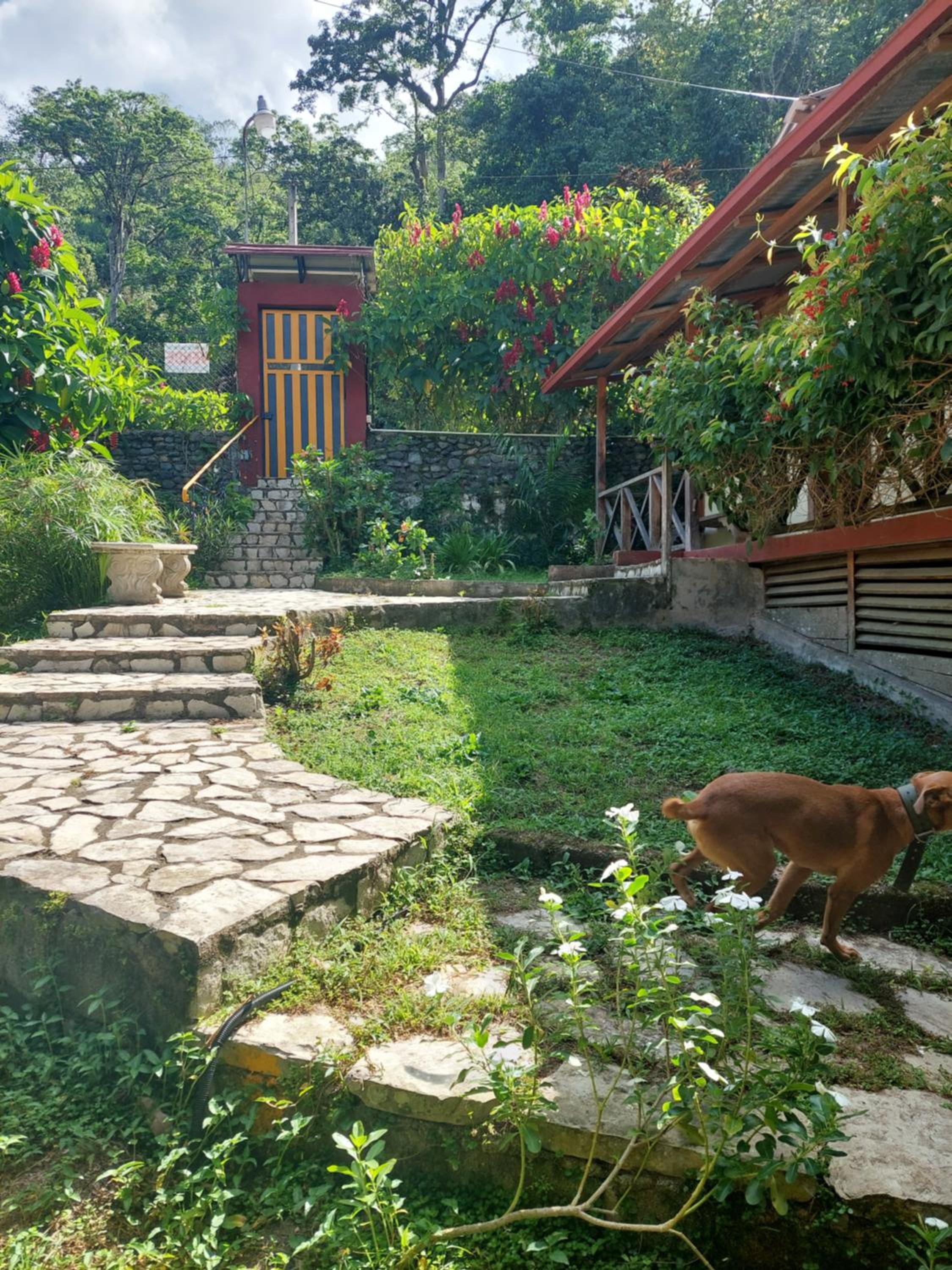 Cottage photo 2