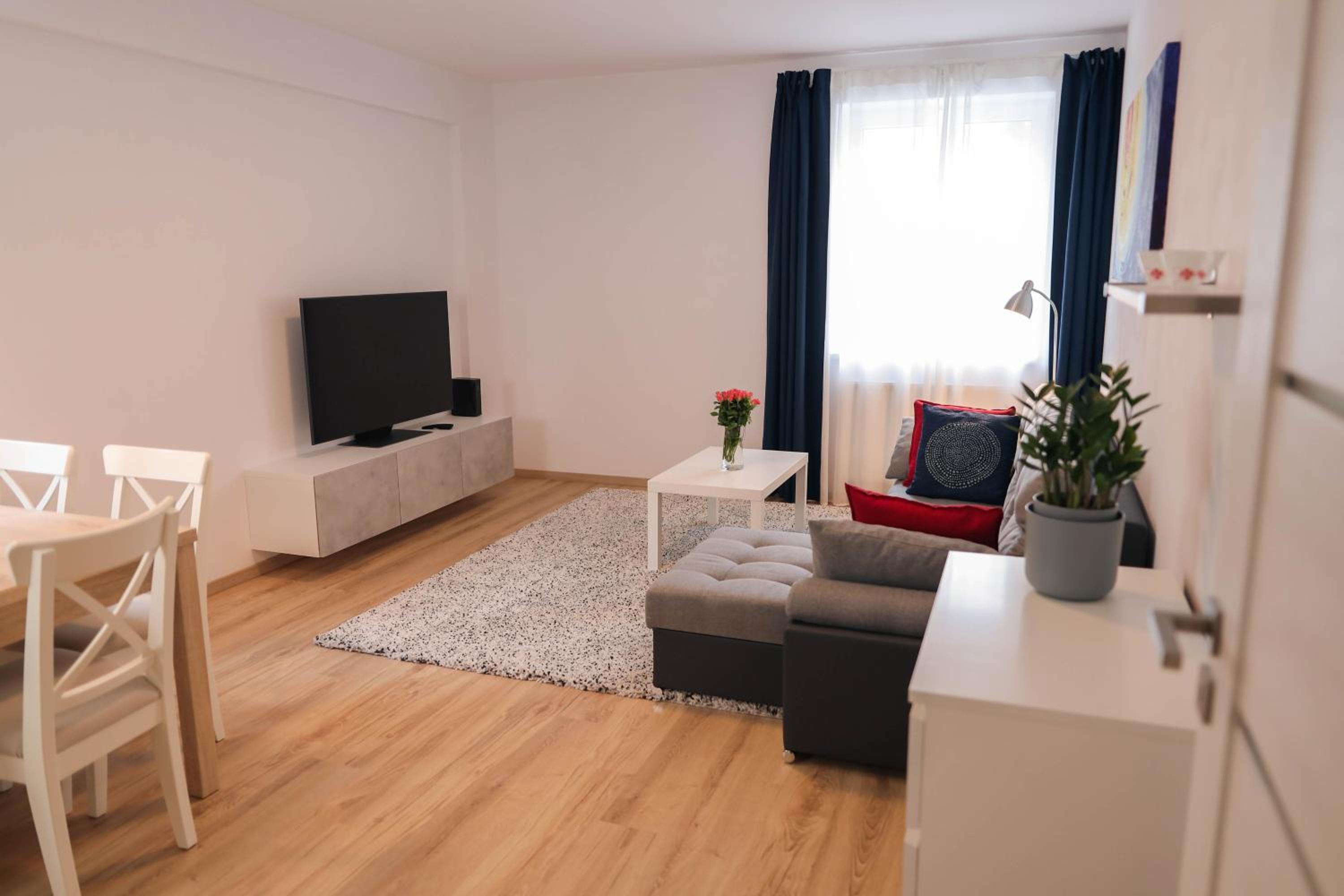 One-Bedroom Apartment photo 3