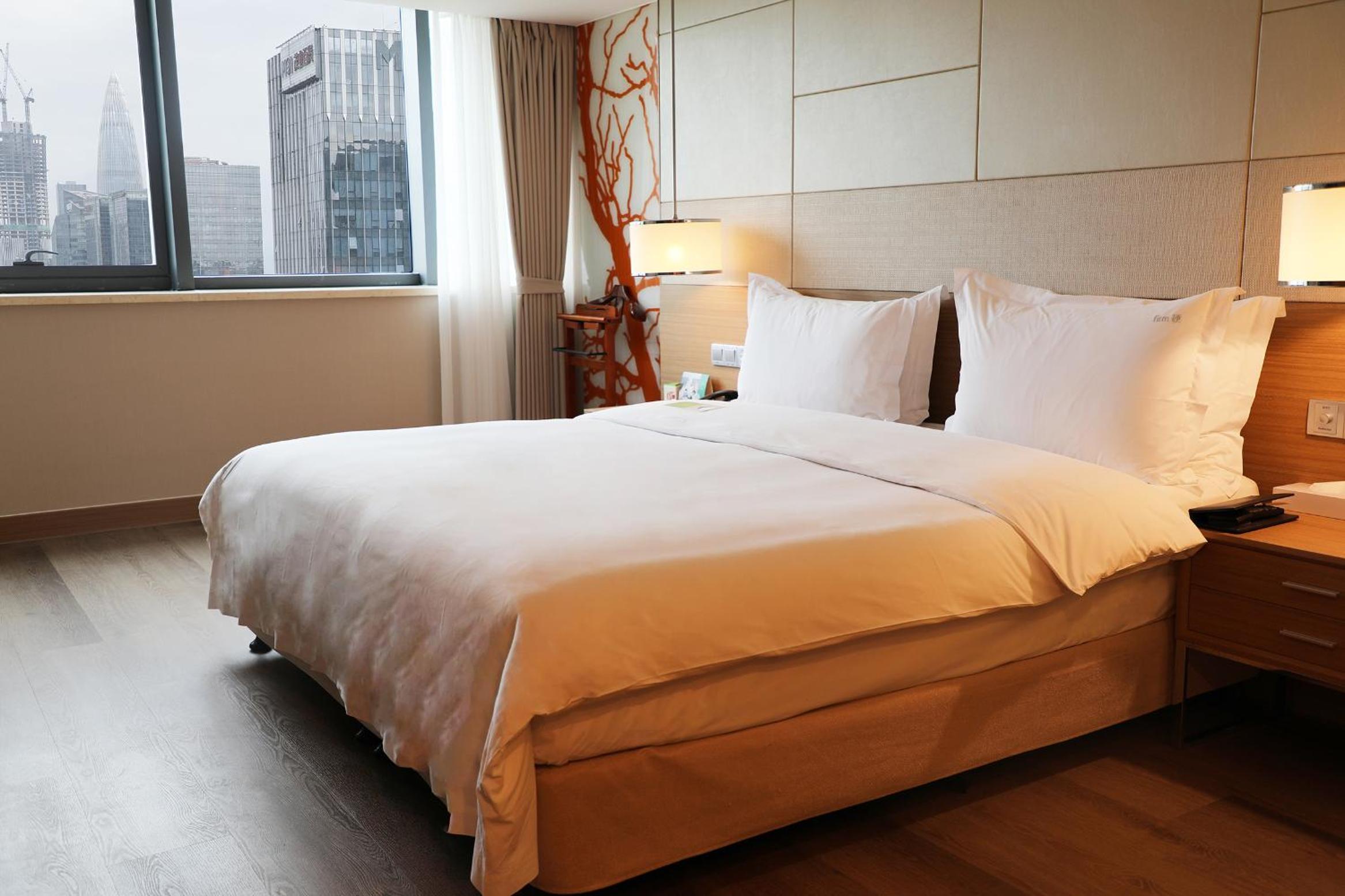 One-Bedroom Suite - Photo 3