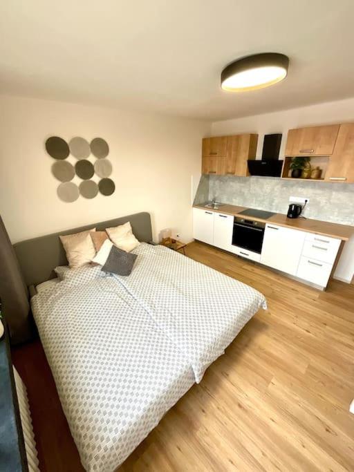 One-Bedroom Apartment photo 1