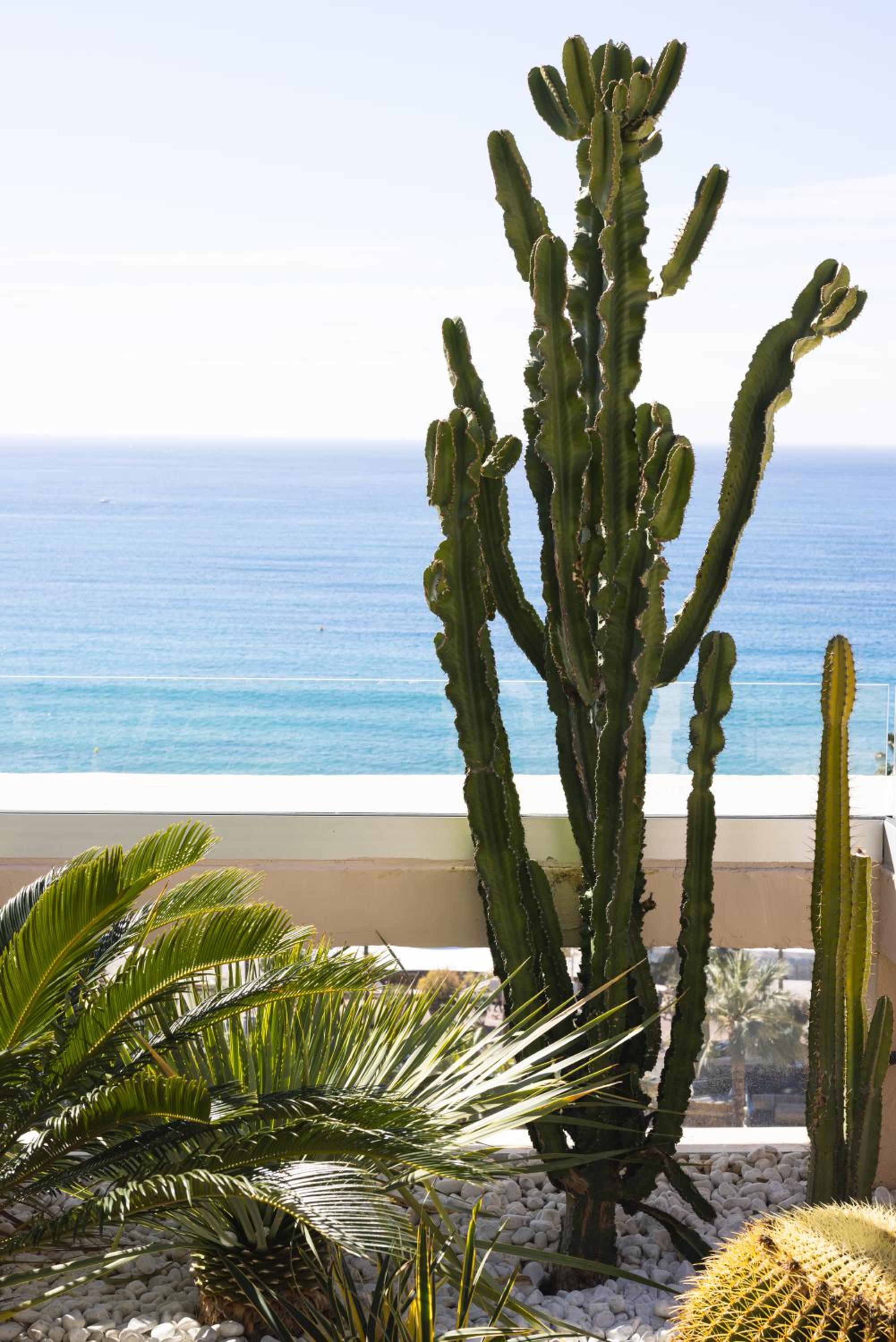 Panoramic Room with Terrace and Sea View - Photo 3
