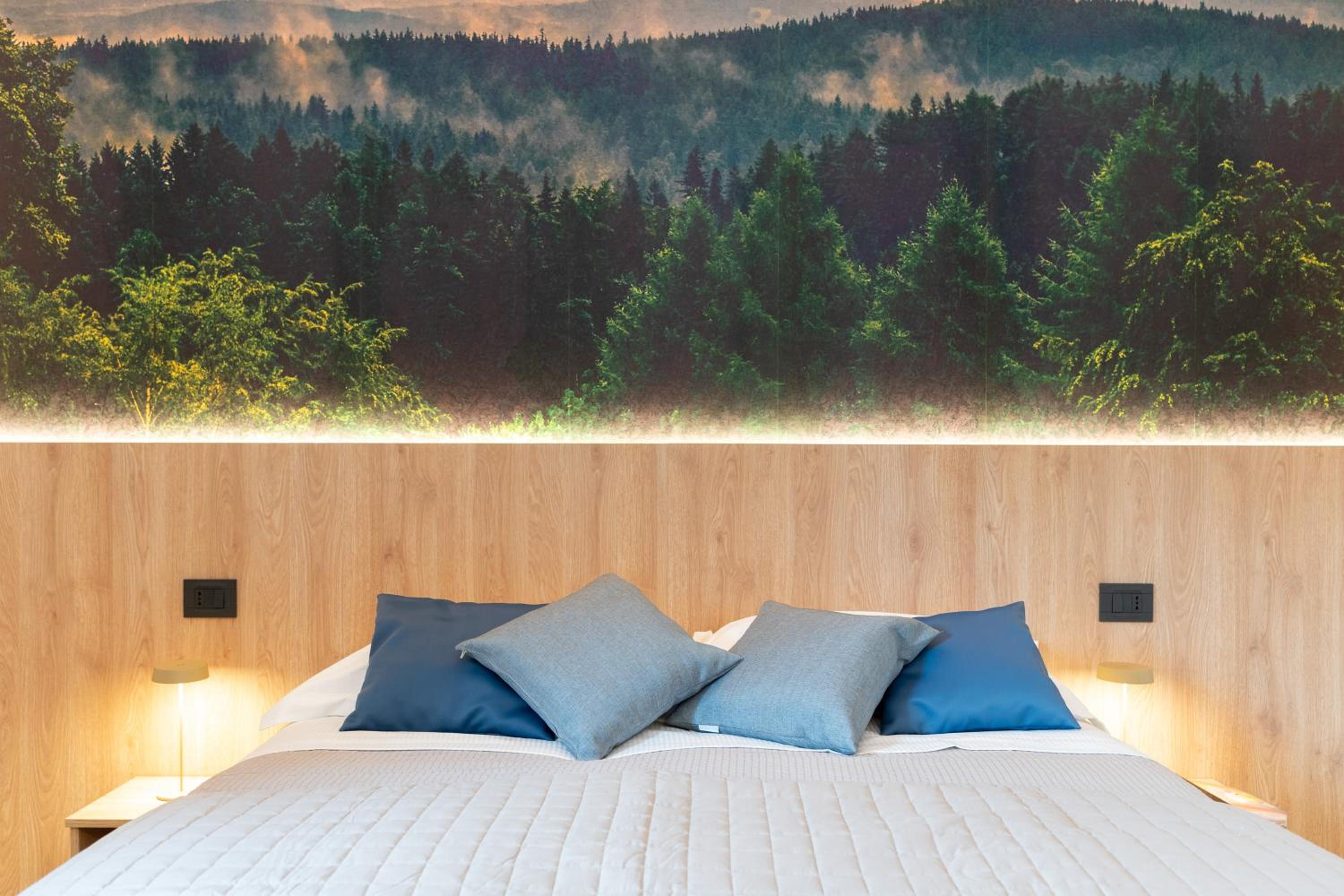 Deluxe Double or Twin Room photo 1