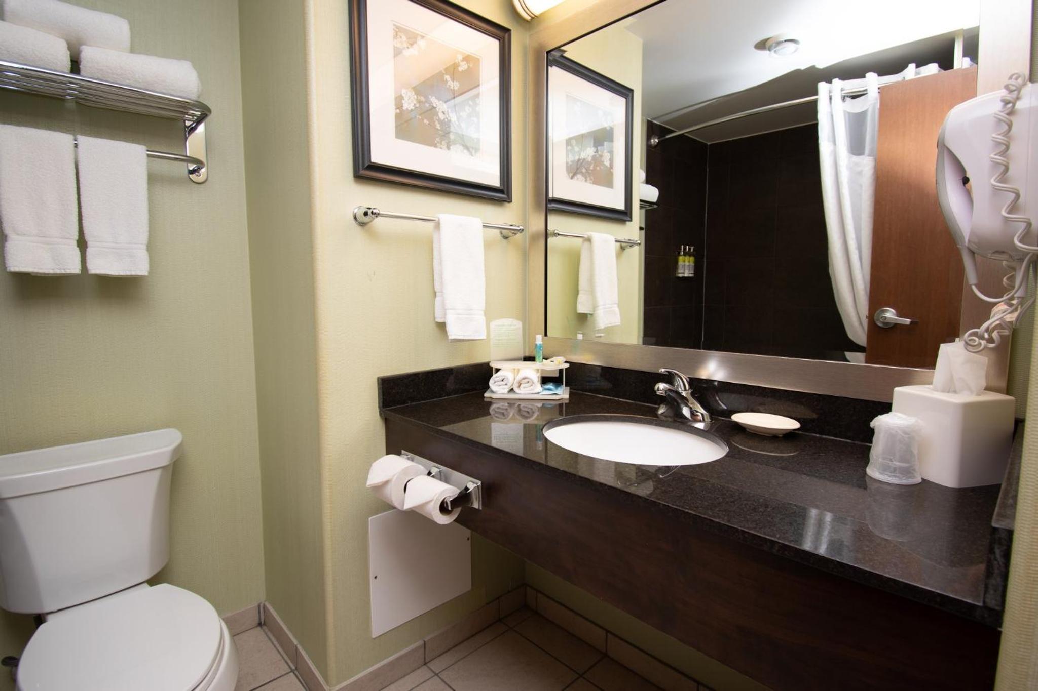 Queen Suite With Two Queen Beds And Sofa Bed - Photo 2