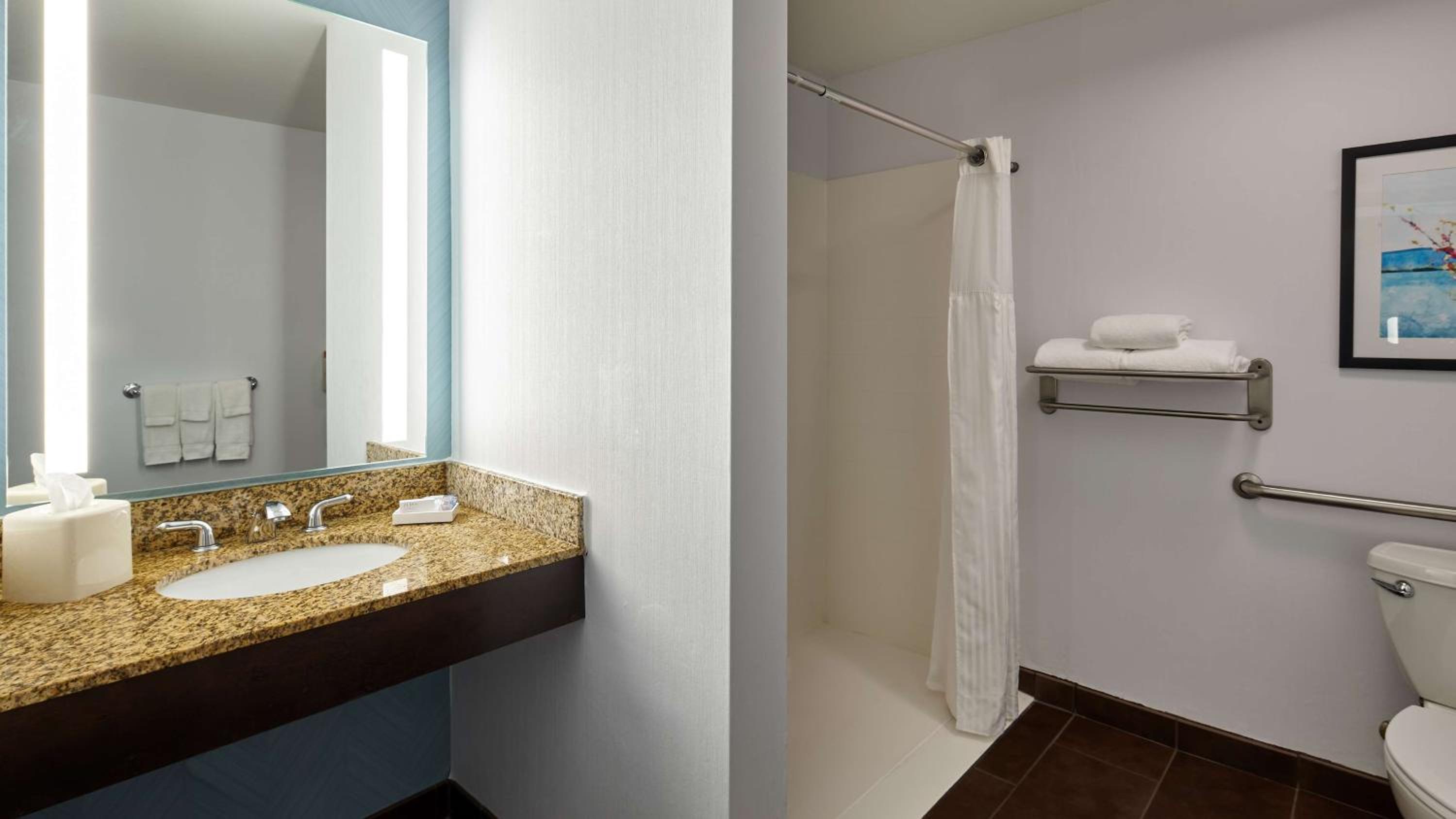 King Room with Roll-In Shower - Mobility Access - Photo 7
