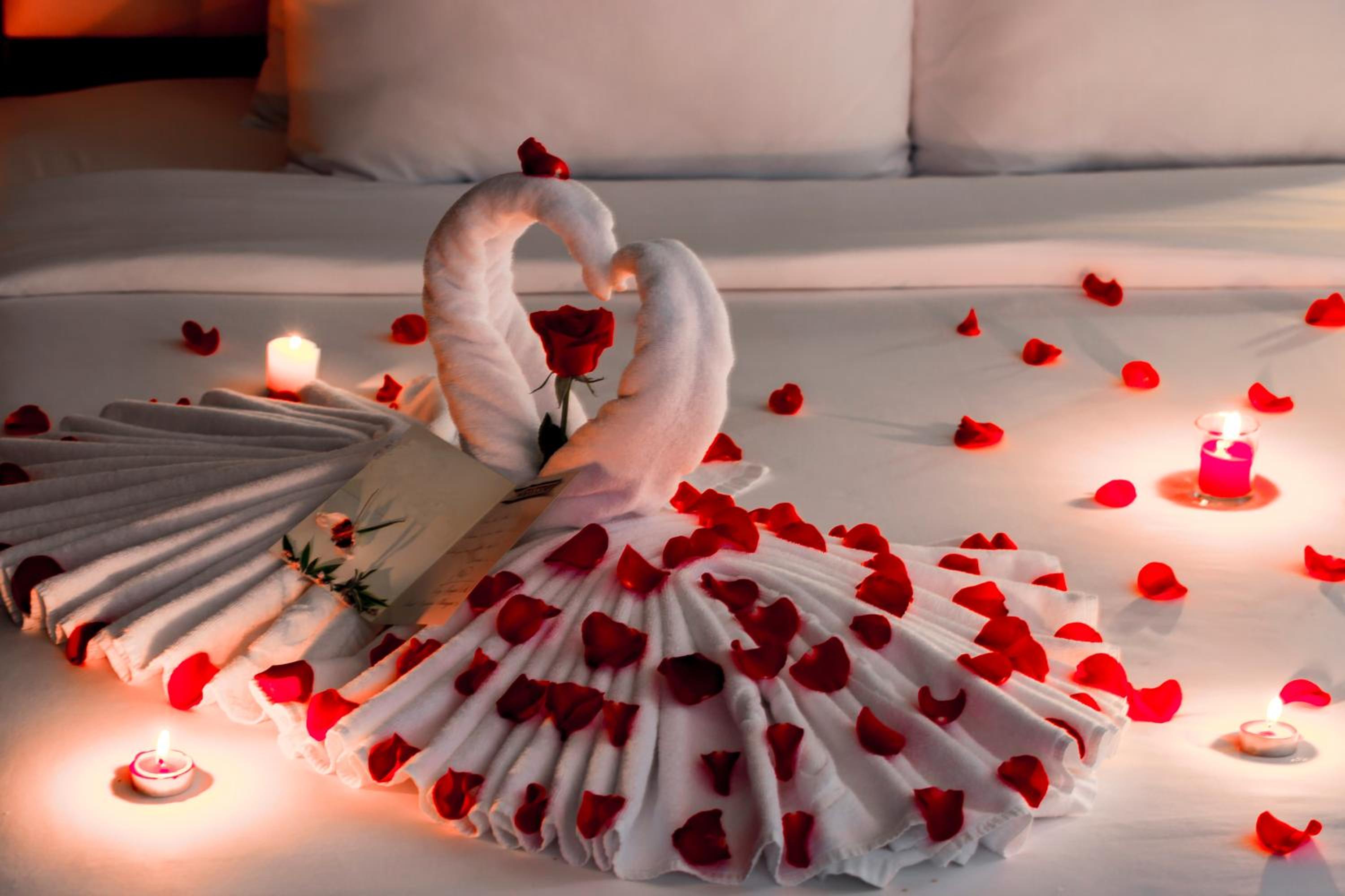 Deluxe Double or Twin Room photo 3