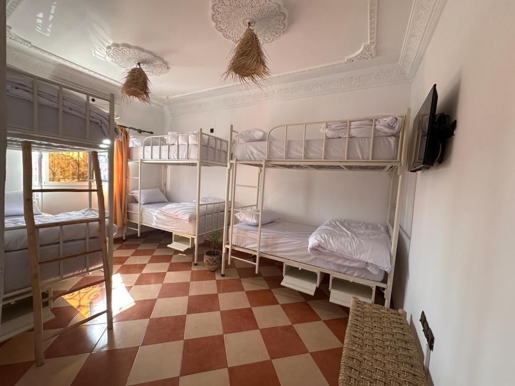 Single Bed in Mixed Dormitory Room photo 3