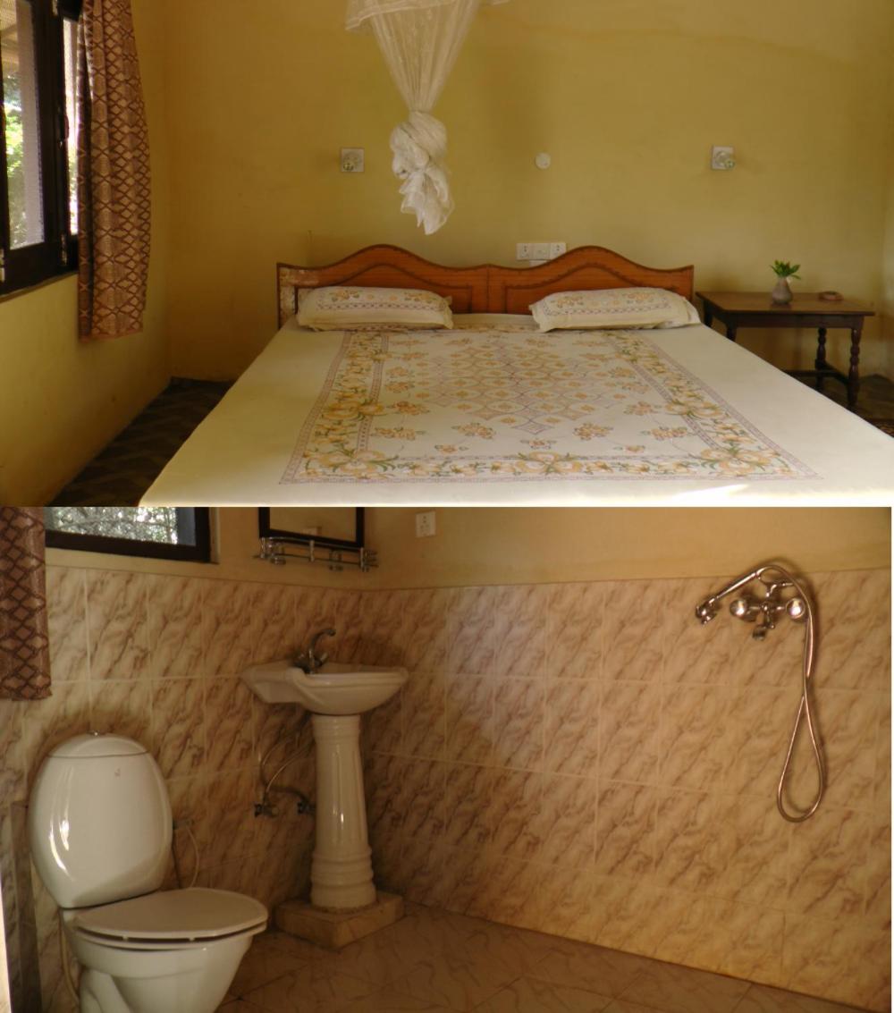 Deluxe Double or Twin Room photo 2