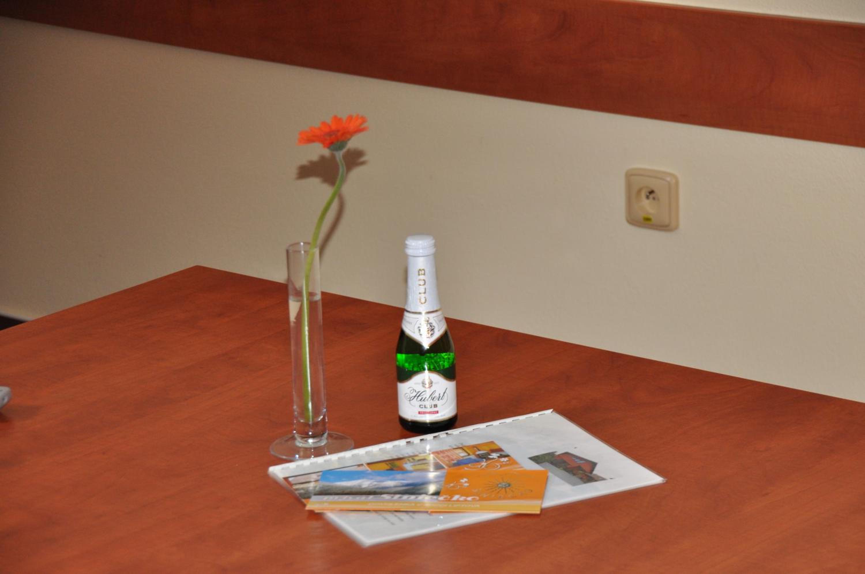 Duplex Apartment photo 1