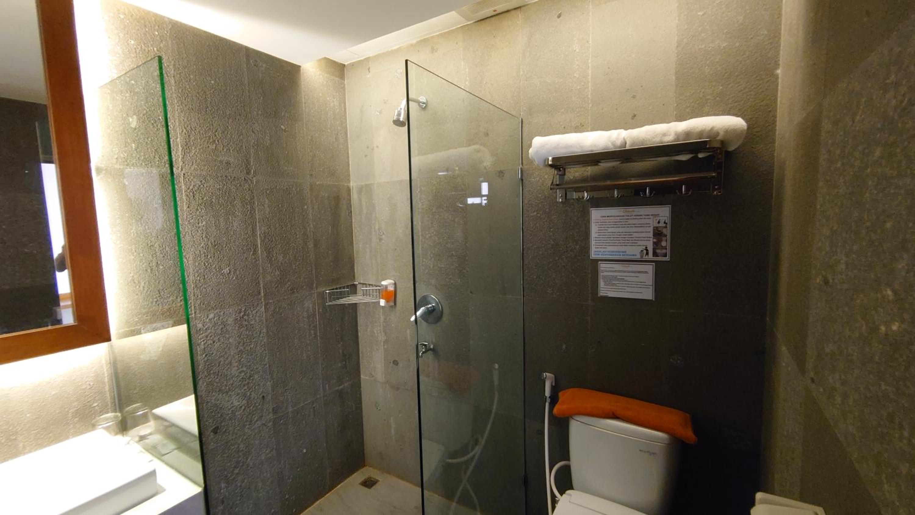 Deluxe Double or Twin Room - Photo 10