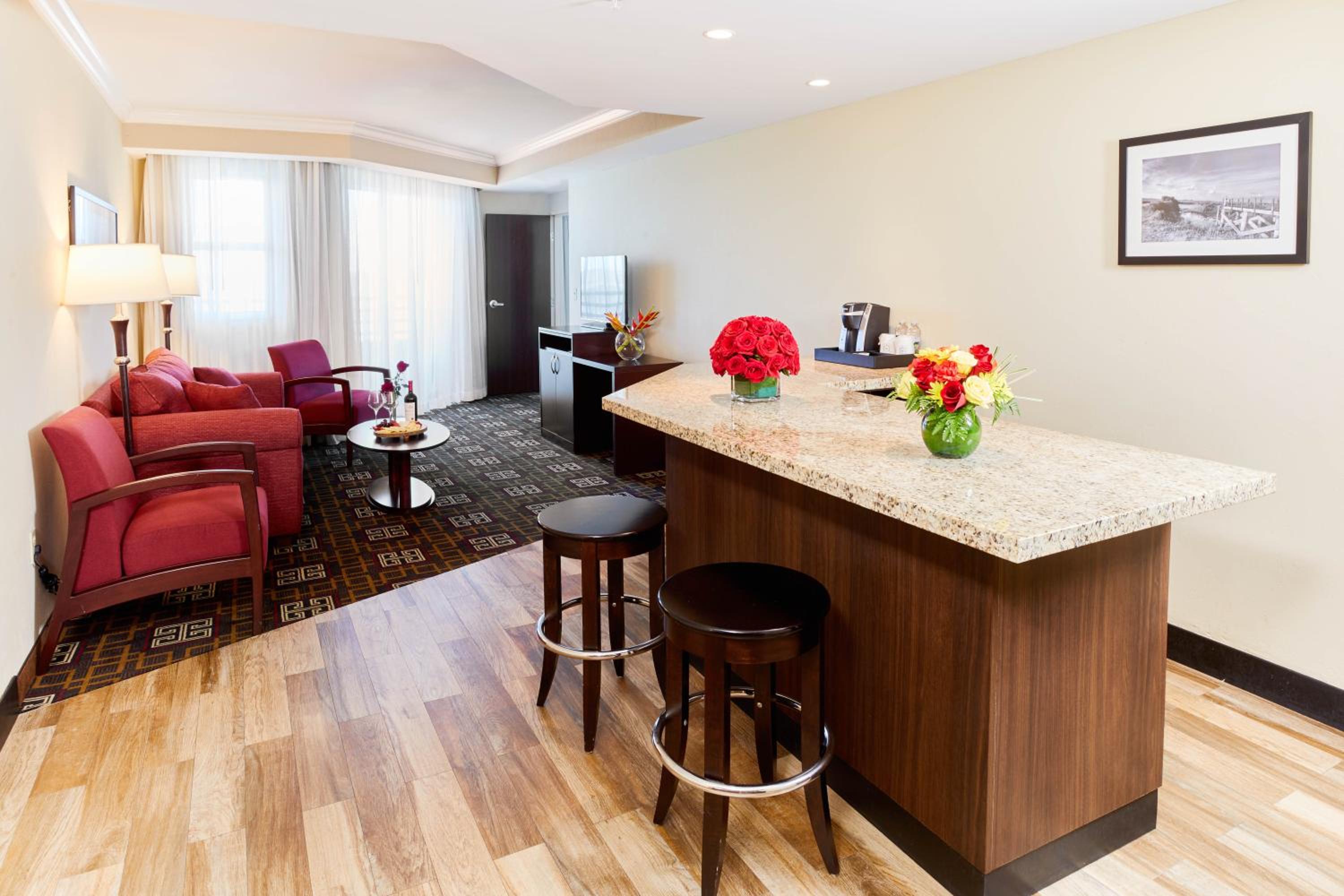 Deluxe One Bedroom Suite photo 2