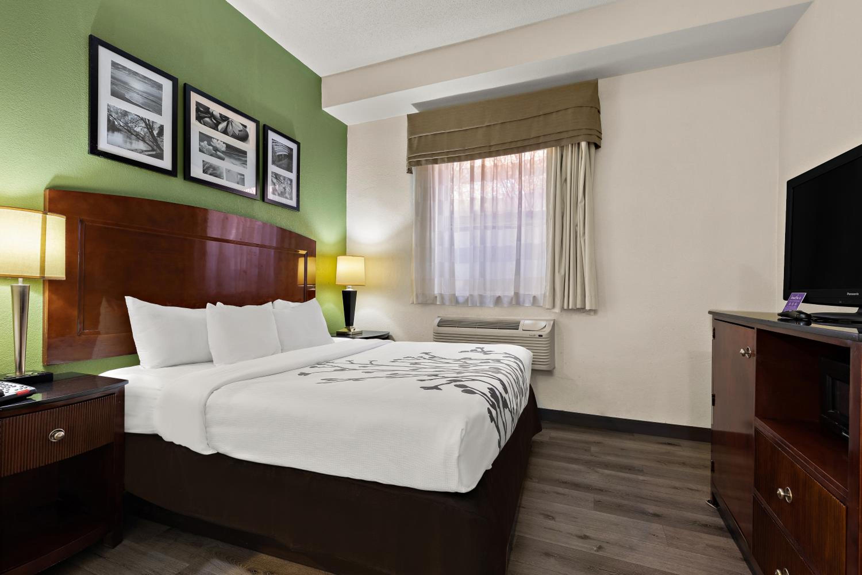 1 Room Suite w/ Sodabed - Non-Smoking photo 1