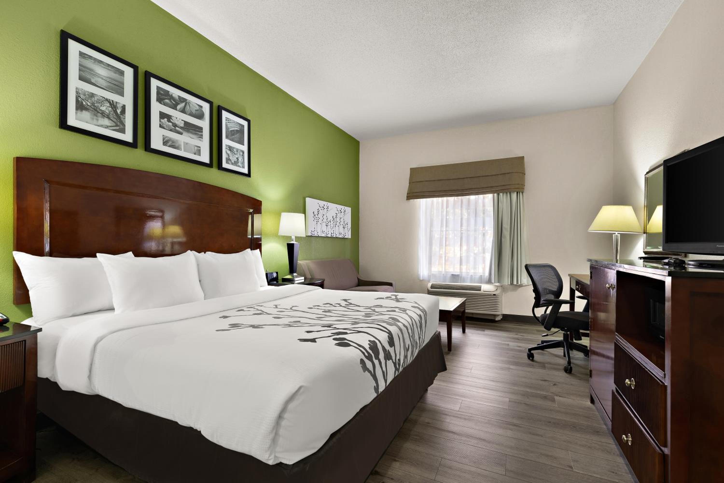 King Suite - Non Smoking photo 1