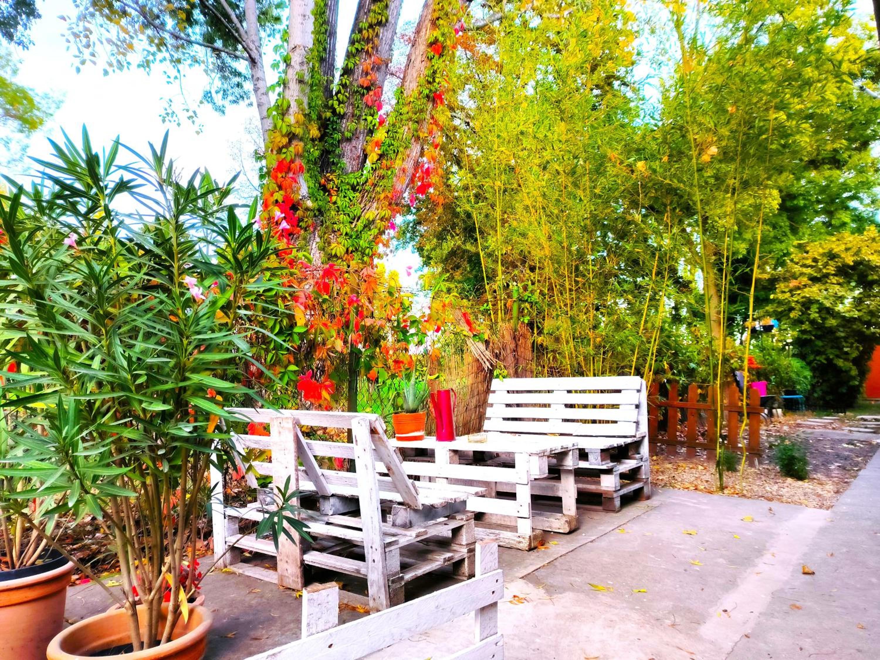 Family Room with Terrace - Photo 7