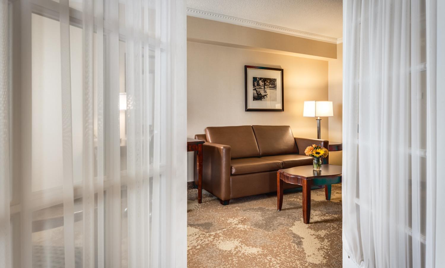 Deluxe King Suite with Jetted Tub and Living Room - Photo 1